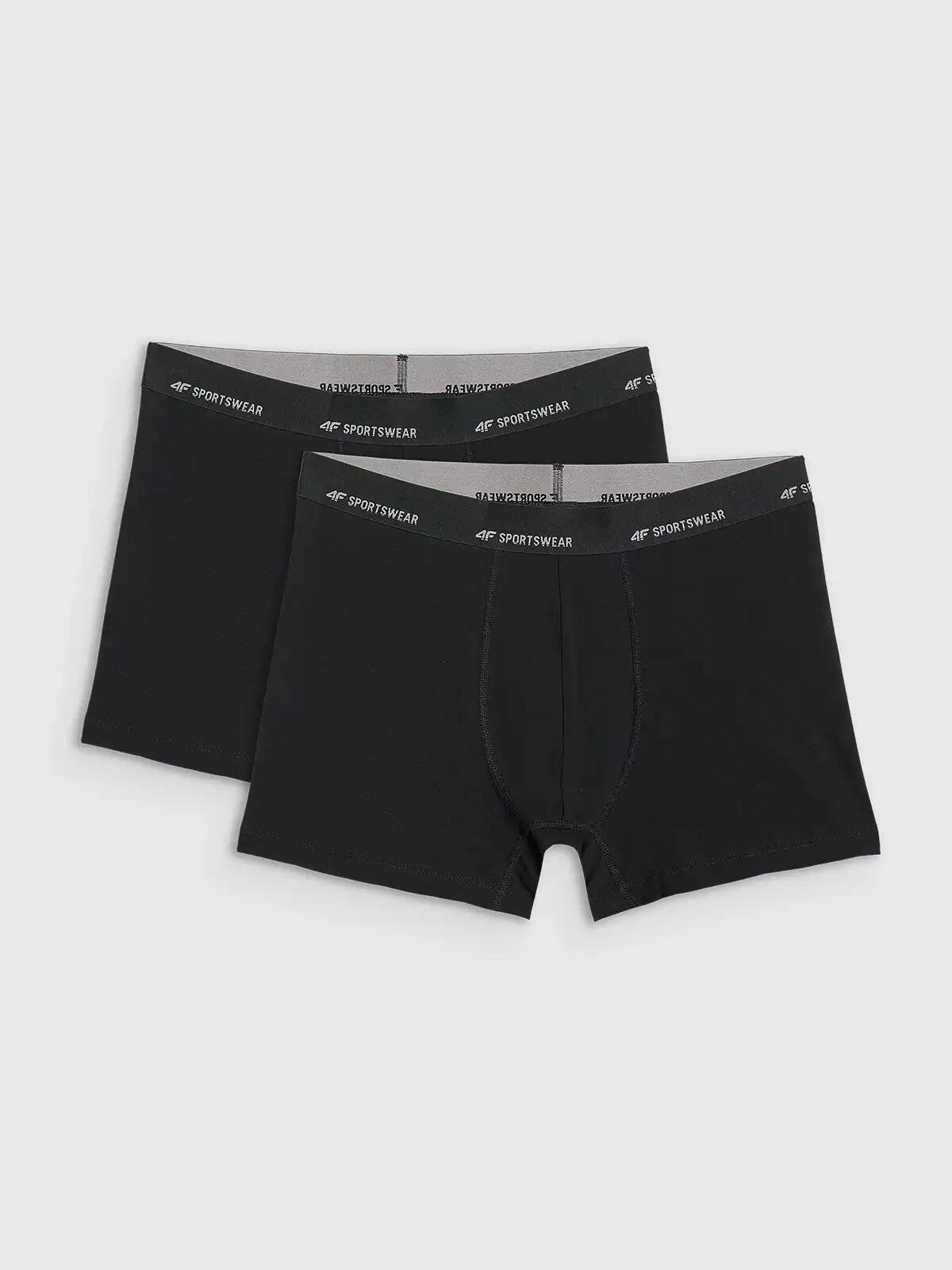 Pánské boxerky 4F Falcon (2 kusy)