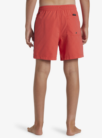 Boys&#039; shorts swimsuit Quiksilver EVERYDAY VERT VOLLEY