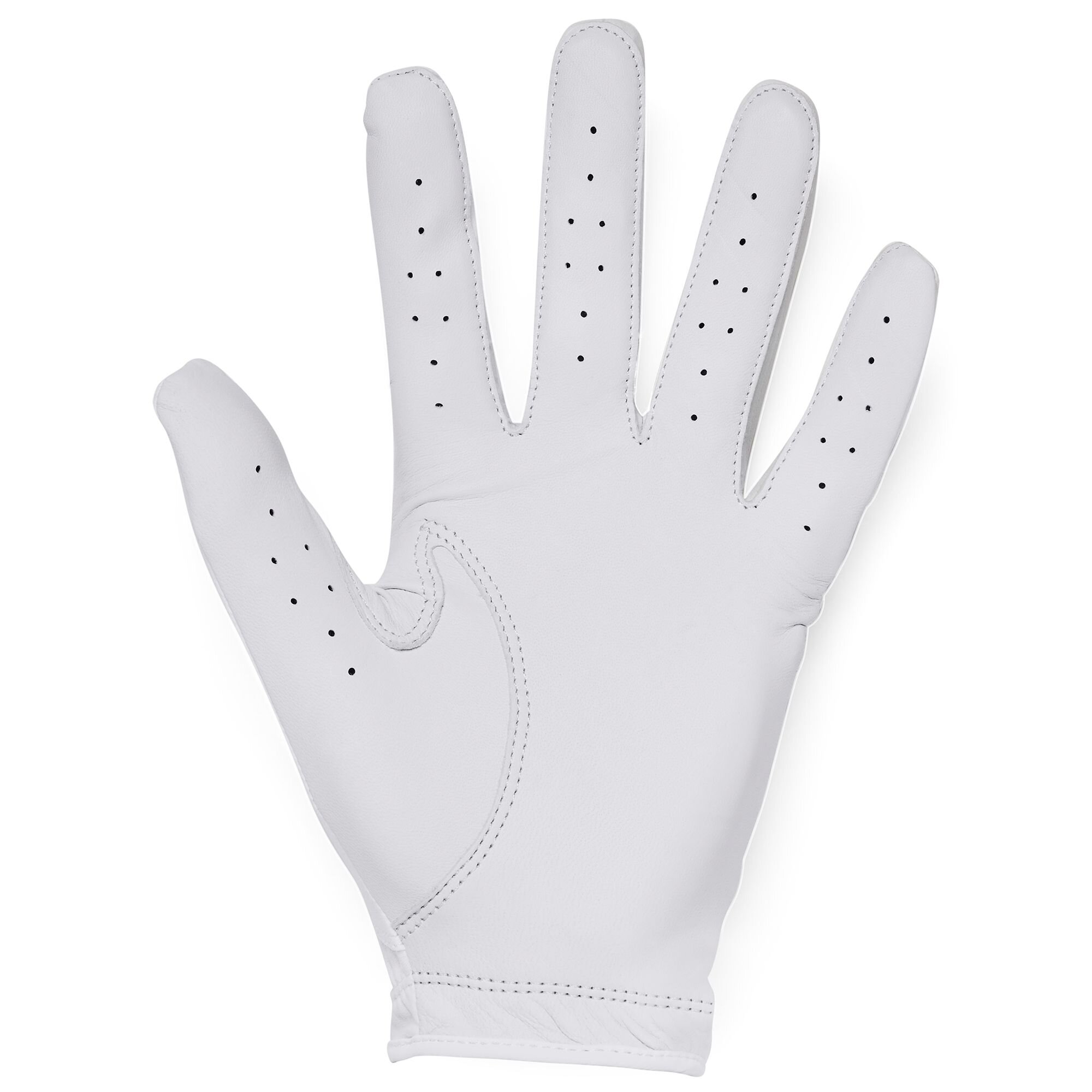 Men's Golf Glove Under Armour Iso-Chill Golf Glove