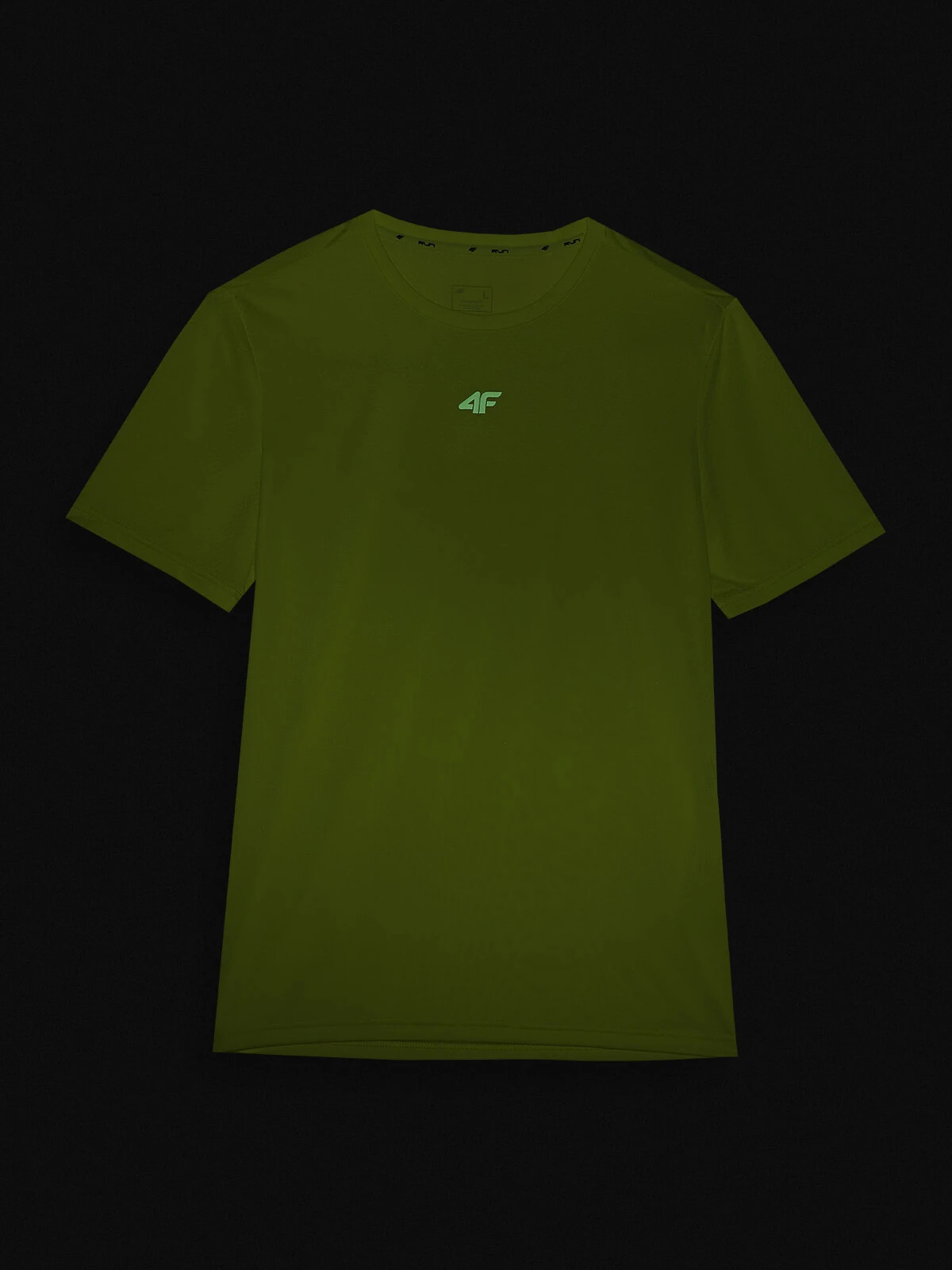 Men's Quick-Drying T-Shirt 4F - Green