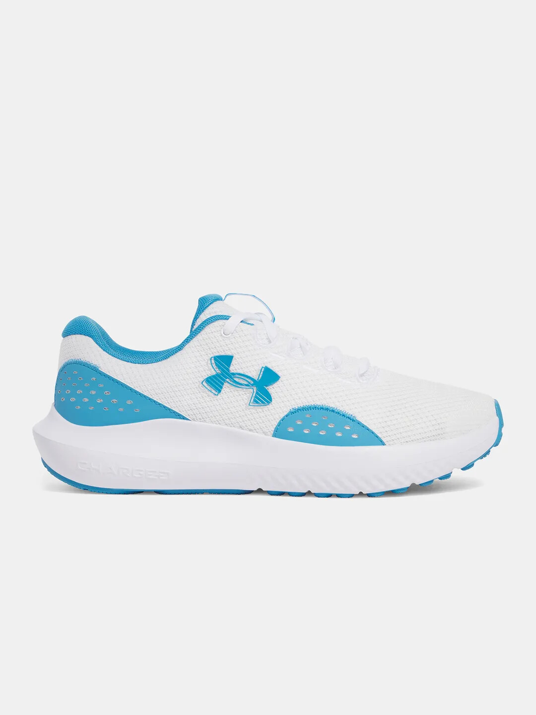 Mens shoes Under Armour Charged Surge 4