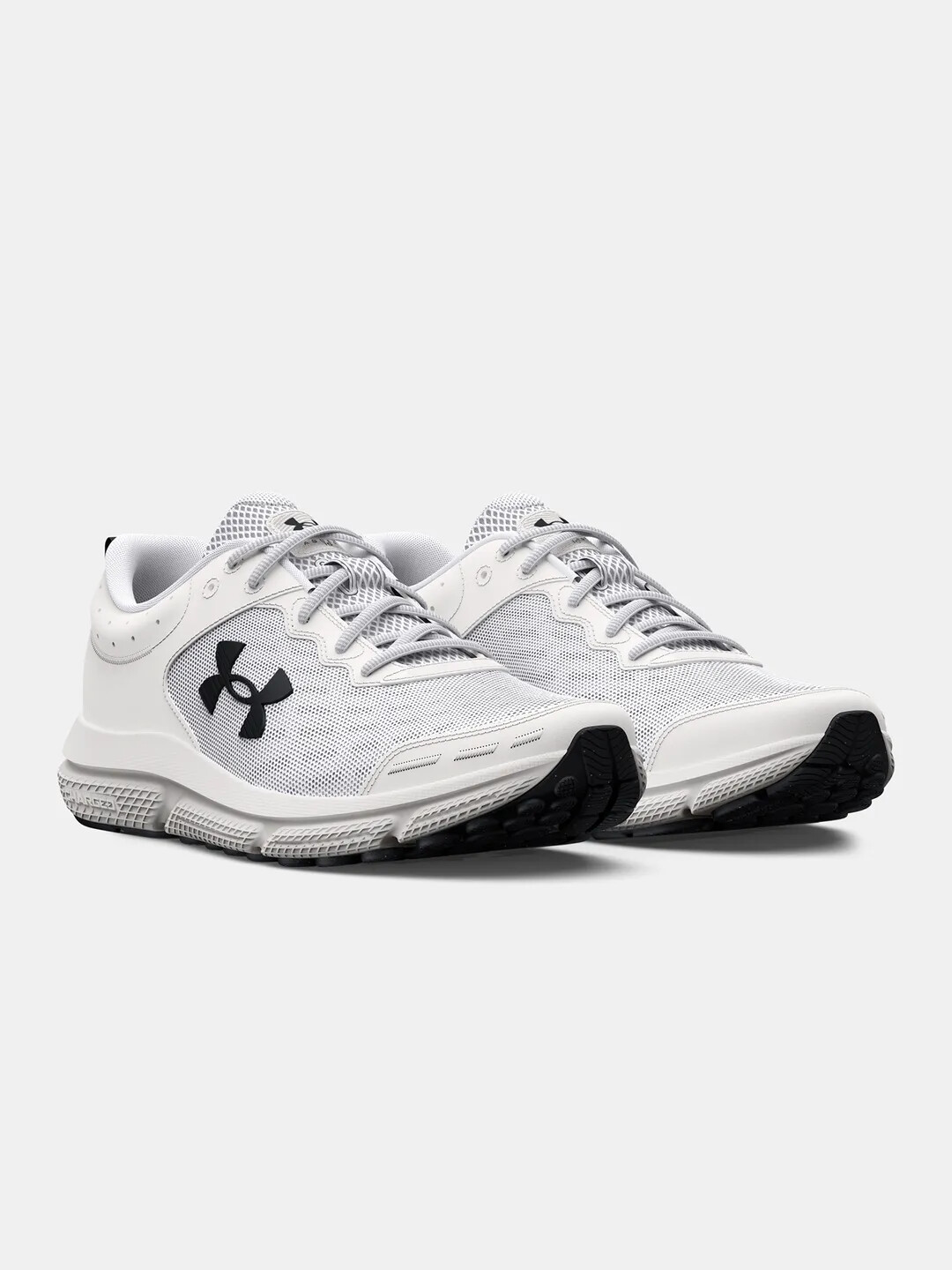 Men's shoes Under Armour Charged Assert 10