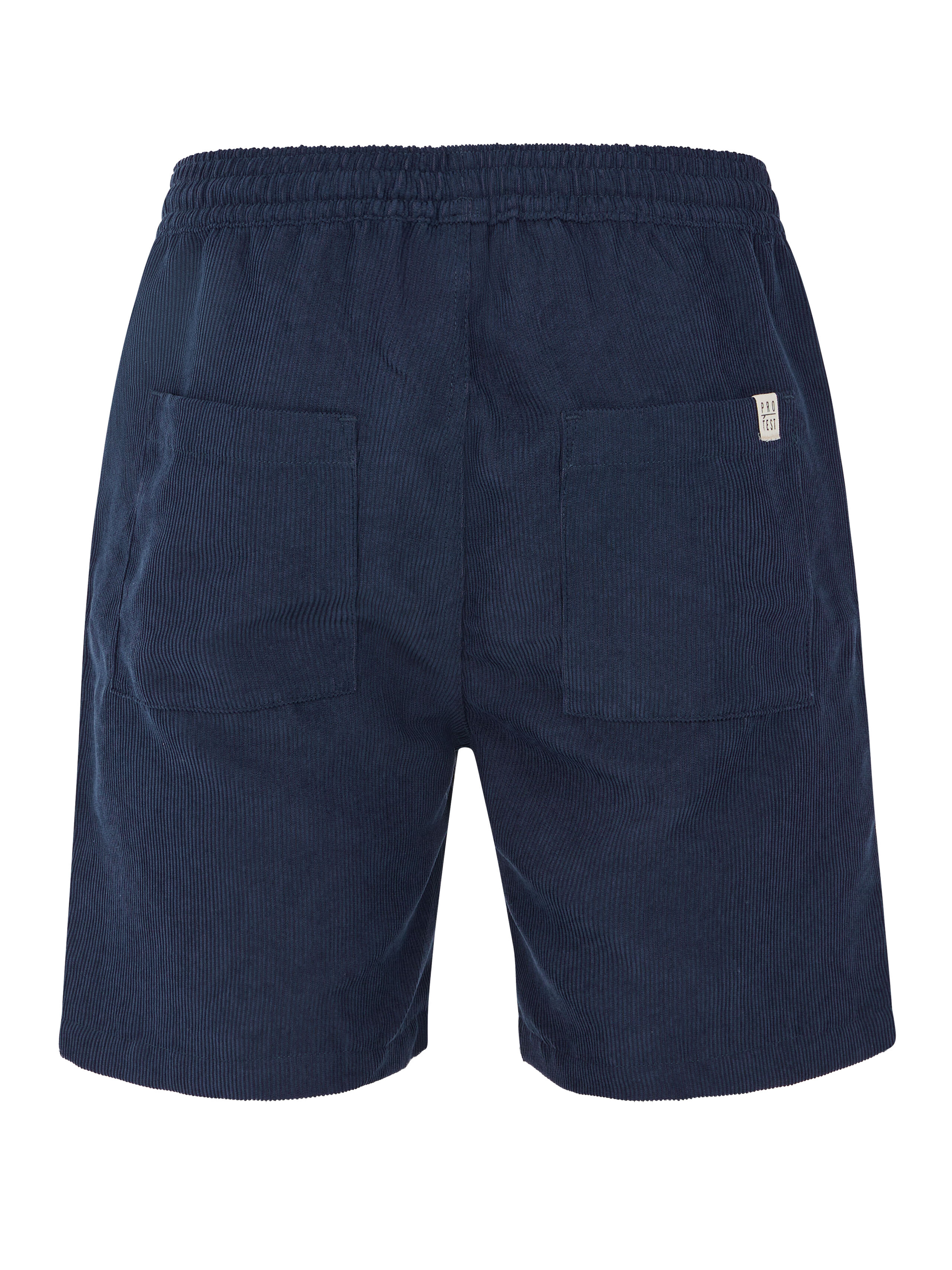 Men's shorts Protest PRTULEY