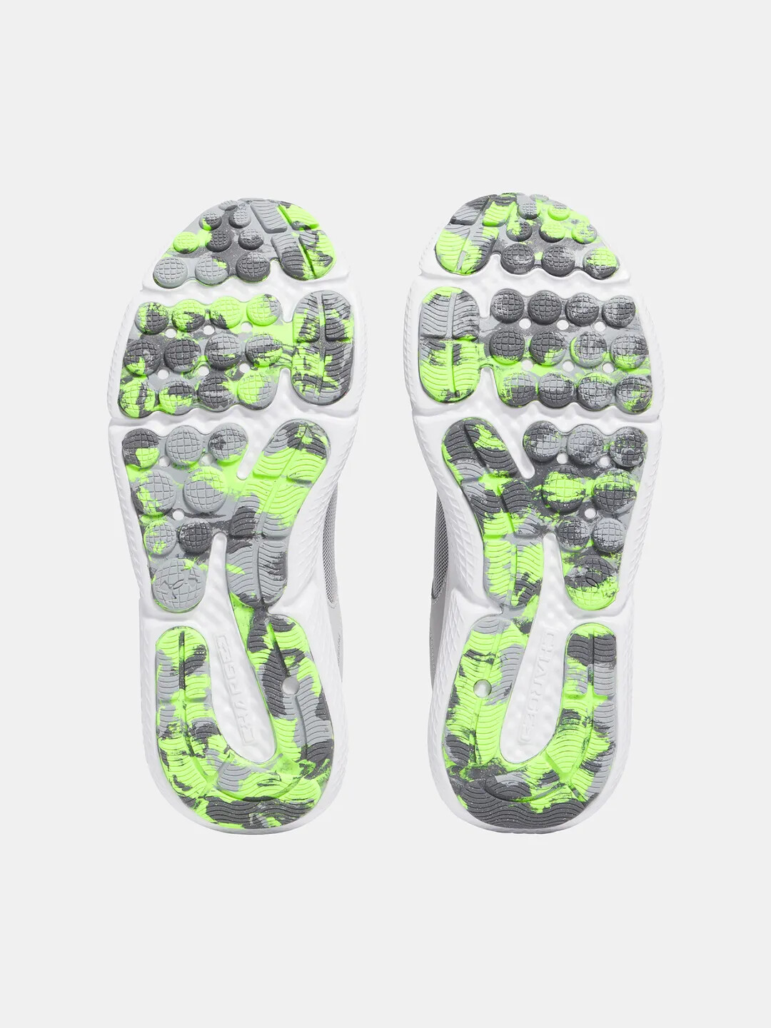Men's shoes Under Armour Charged Assert 10