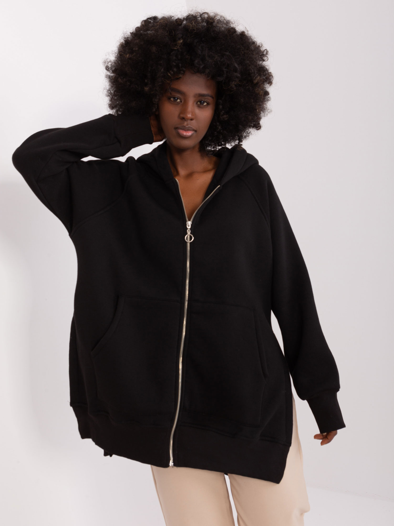 Black Basic Zip-up Sweatshirt With Insulation