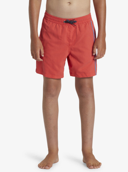 Boys&#039; shorts swimsuit Quiksilver EVERYDAY VERT VOLLEY