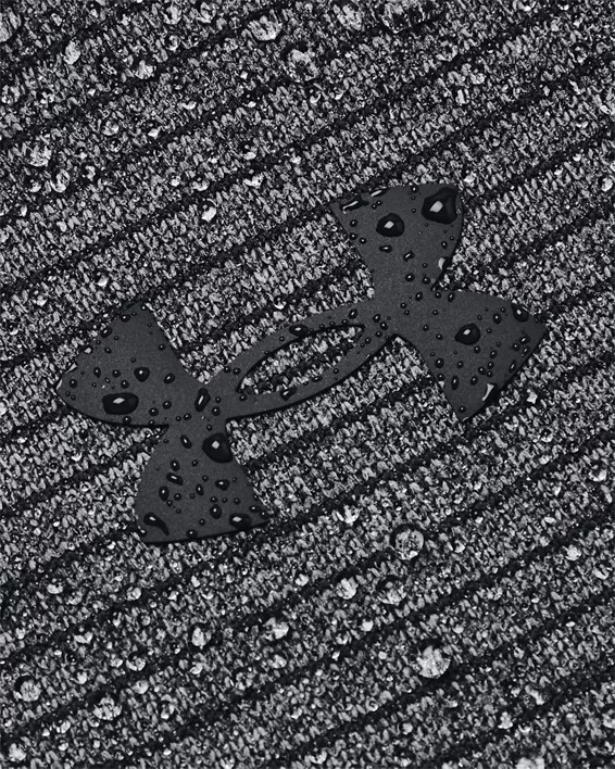 Men's sweatshirt Under Armour STORM