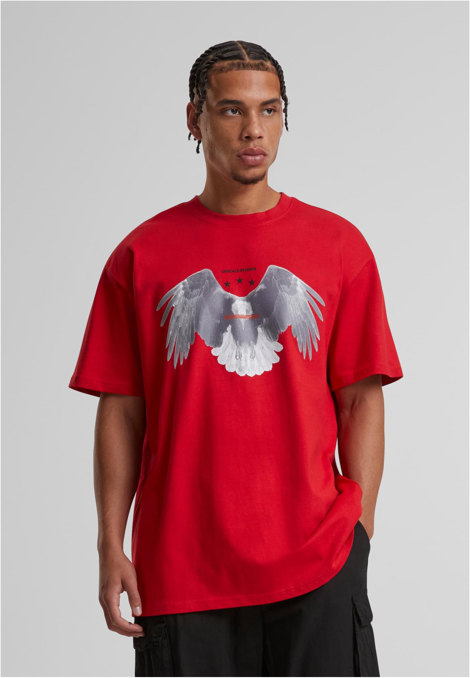 Men's T-shirt Sick Eagle Heavy Oversize Red