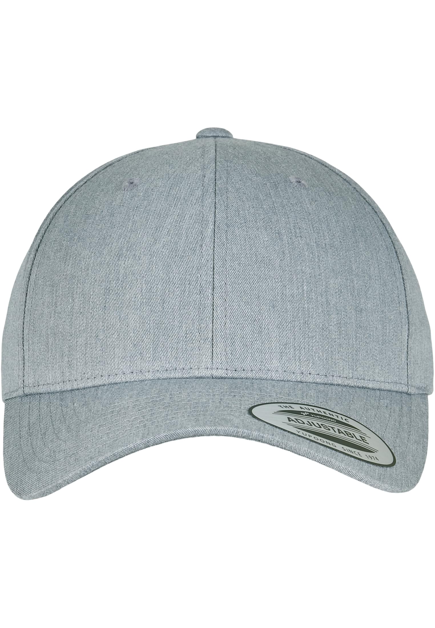 Curved Classic Snapback h.Grey