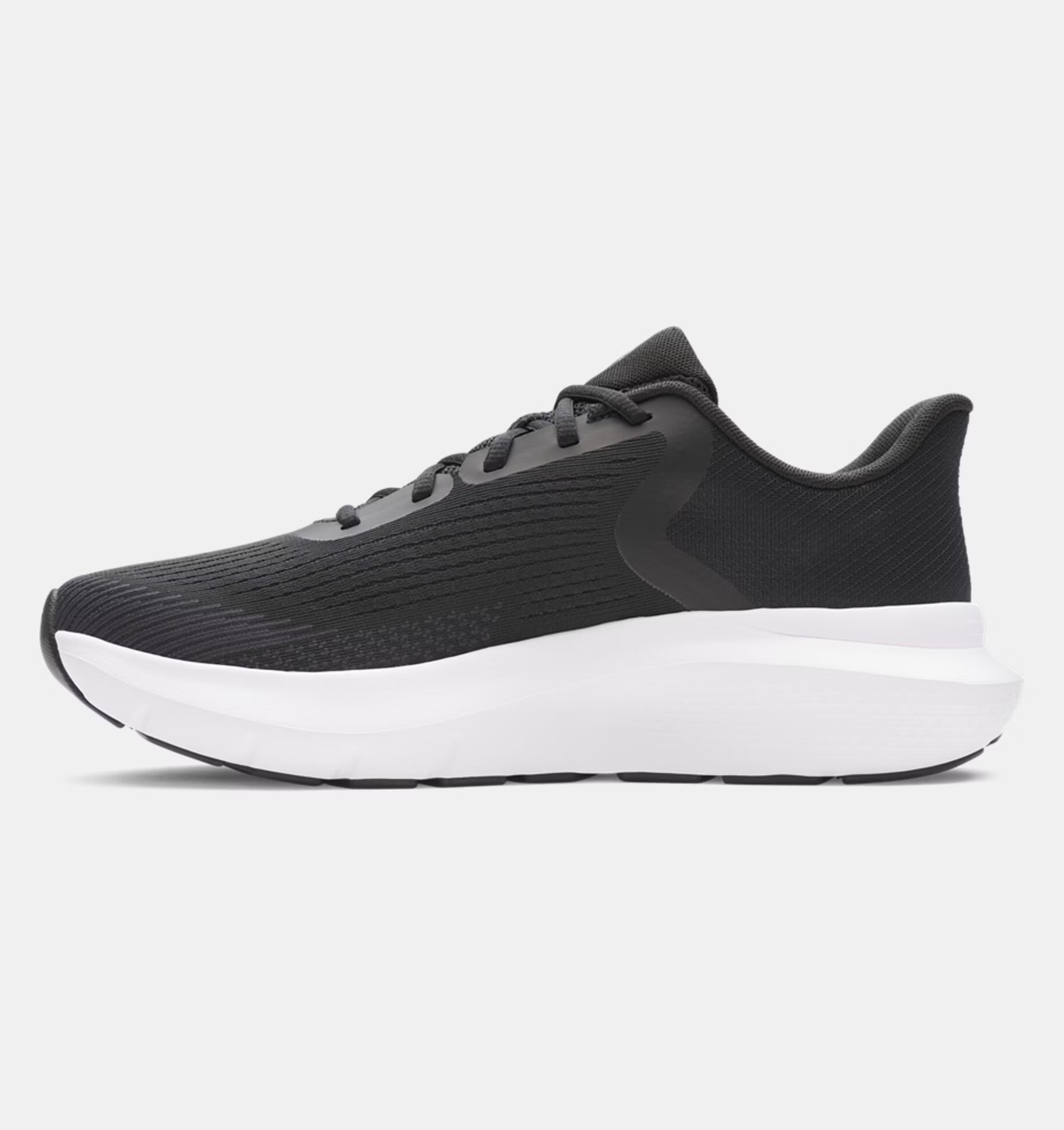 Men's shoes Under Armour Charged Rogue 5