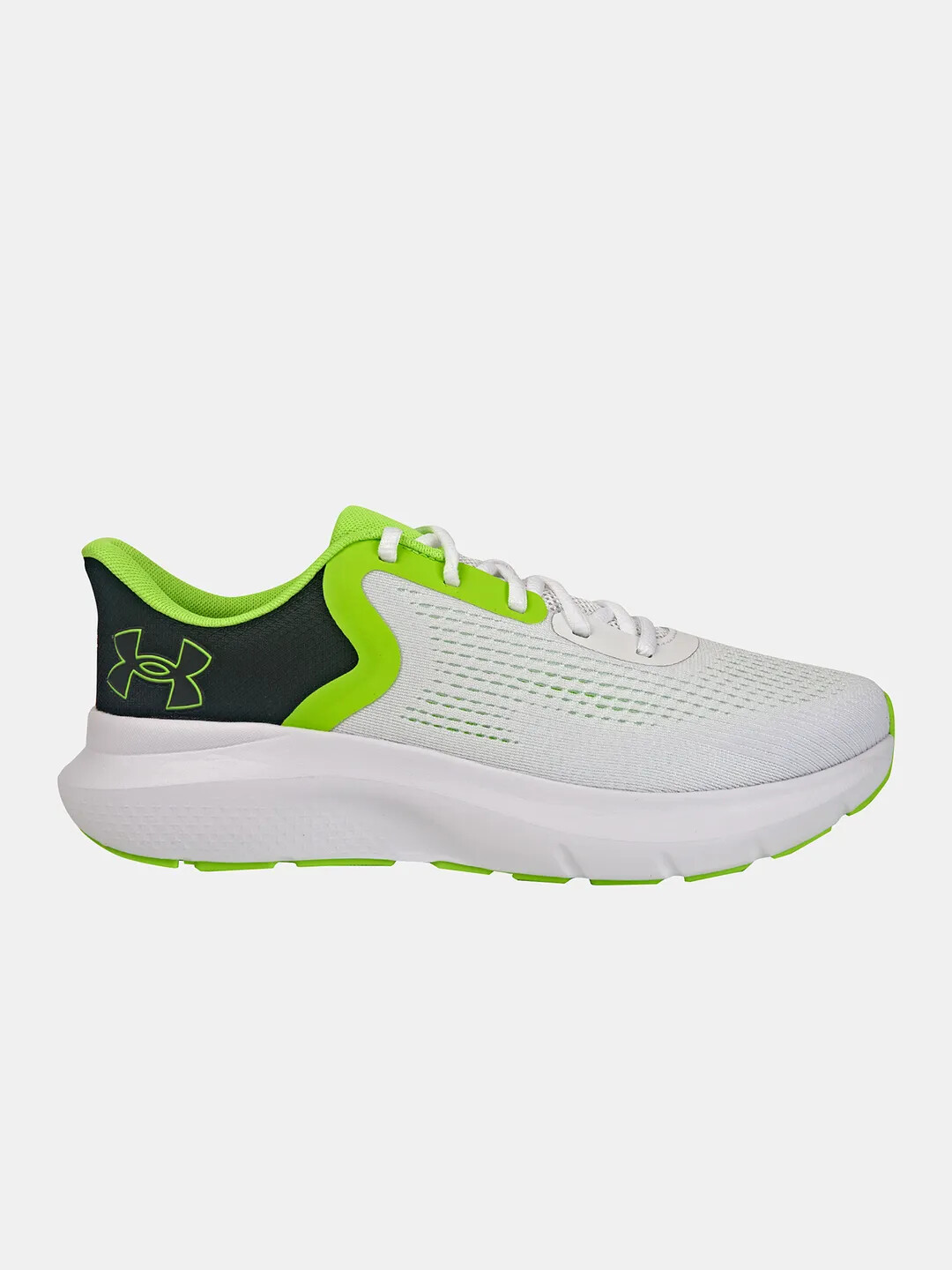 Men&#039;s shoes Under Armour Charged Rogue 5