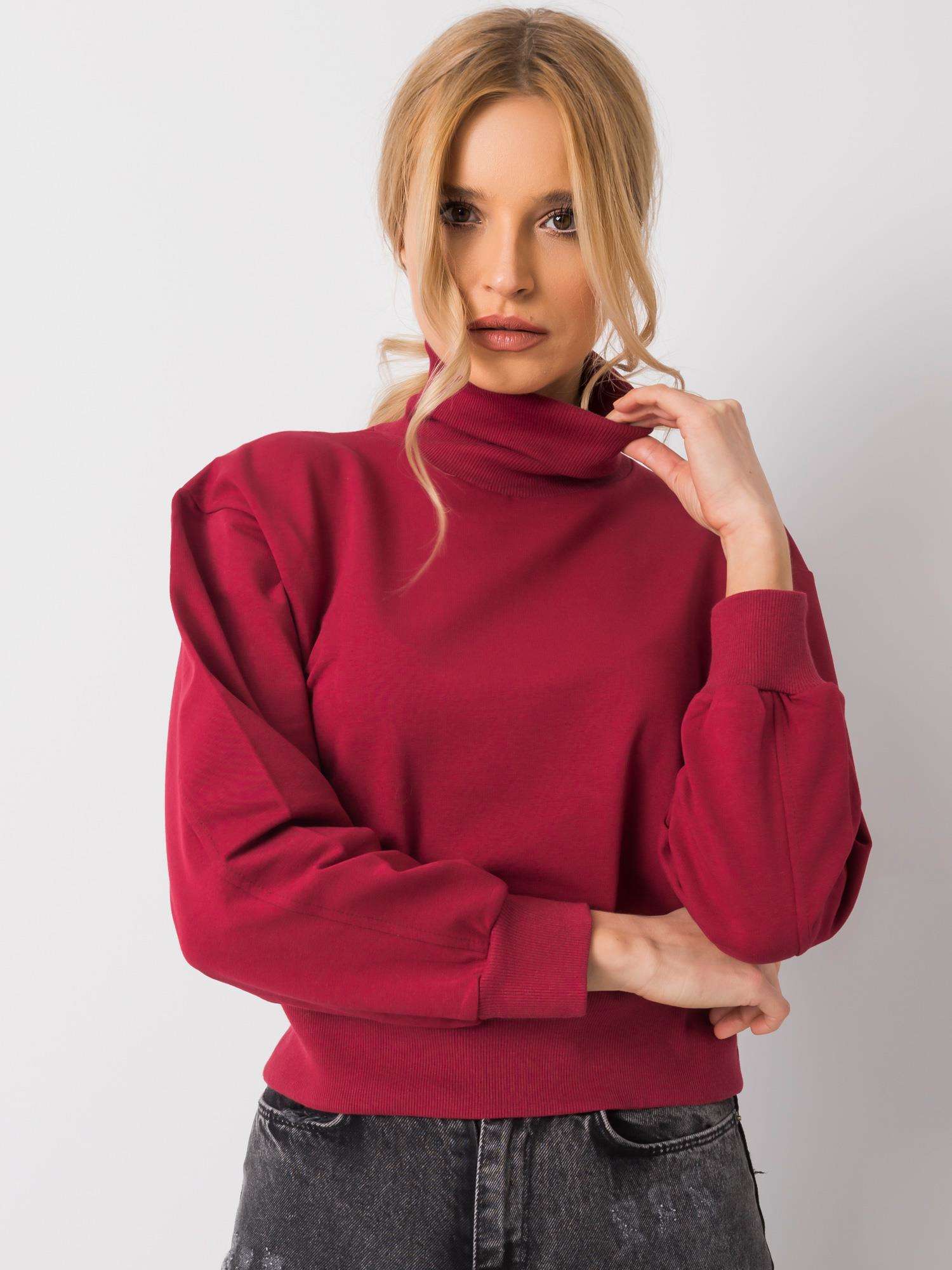 Basic Brown Sweatshirt With Turtleneck