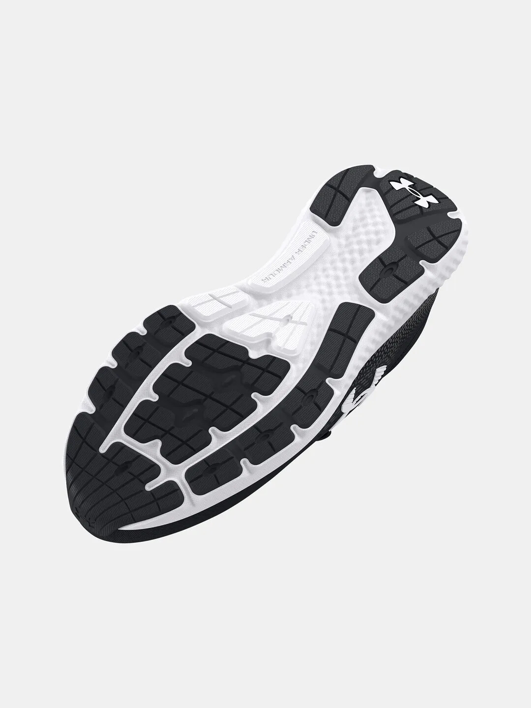 Men's shoes Under Armour Charged Rogue 4