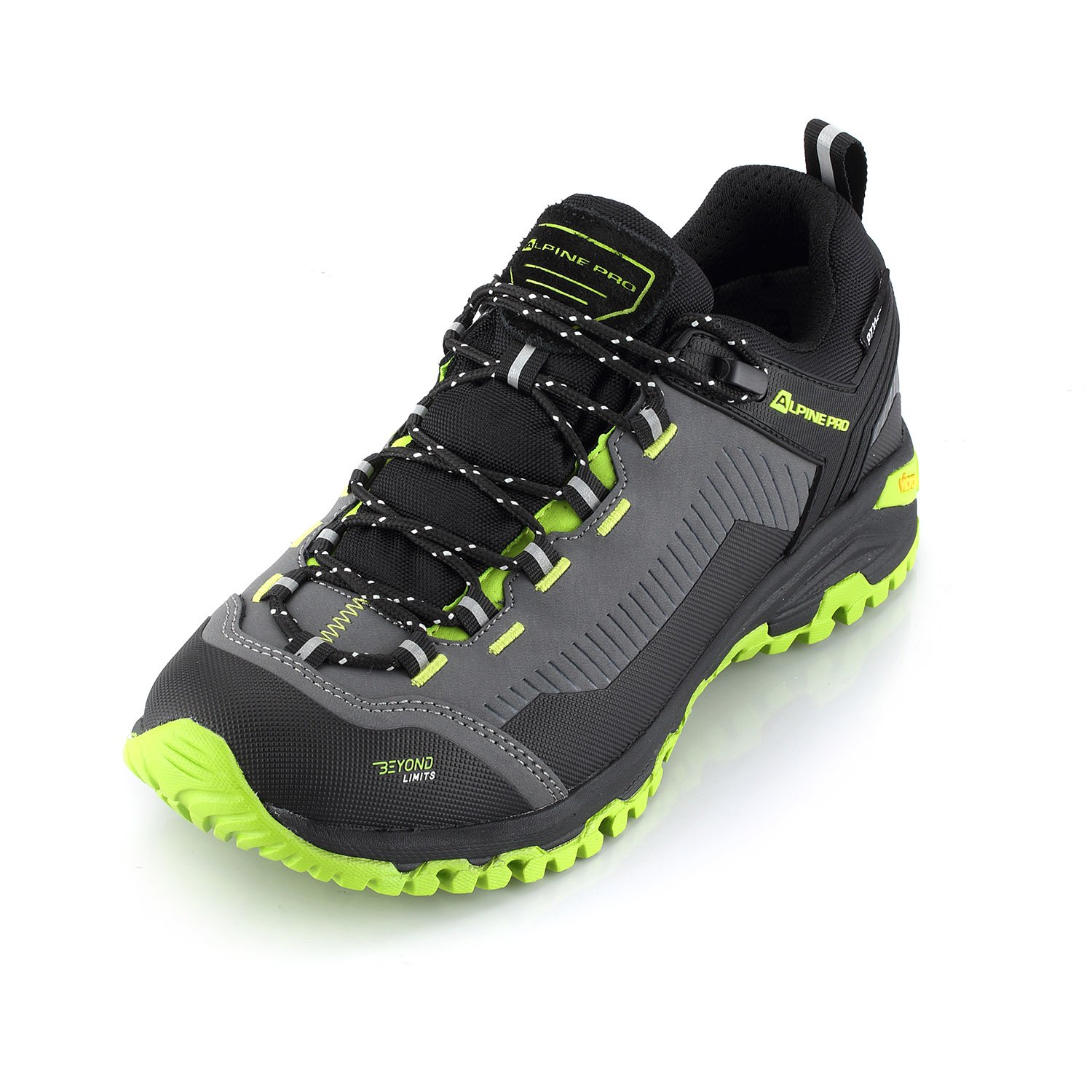 Outdoor shoes with membrane PTX ALPINE PRO SELLE gray