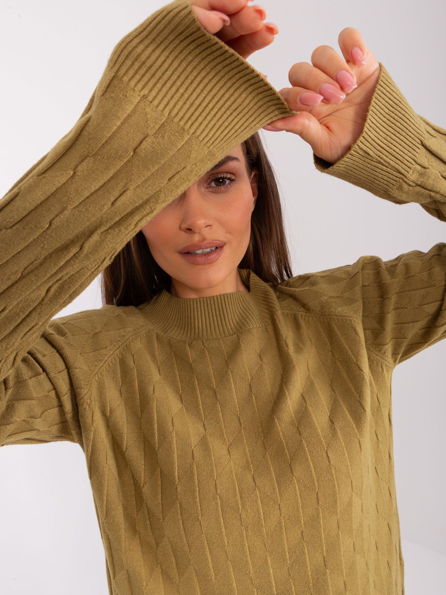 Women's Olive Green Classic Sweater With Patterns