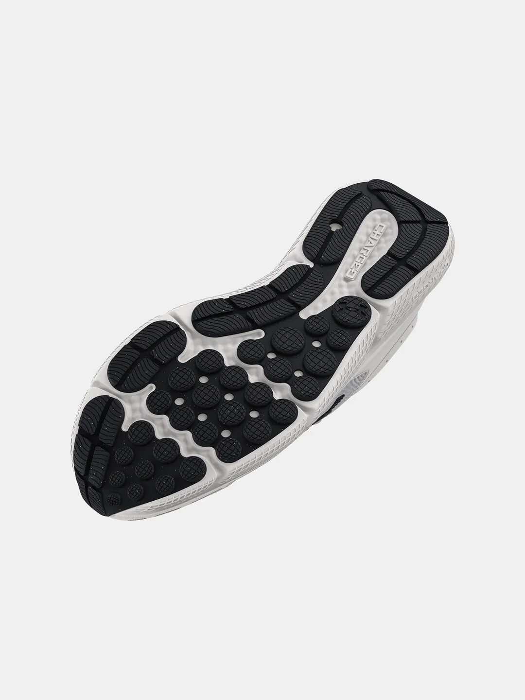 Men's shoes Under Armour Charged Assert 10