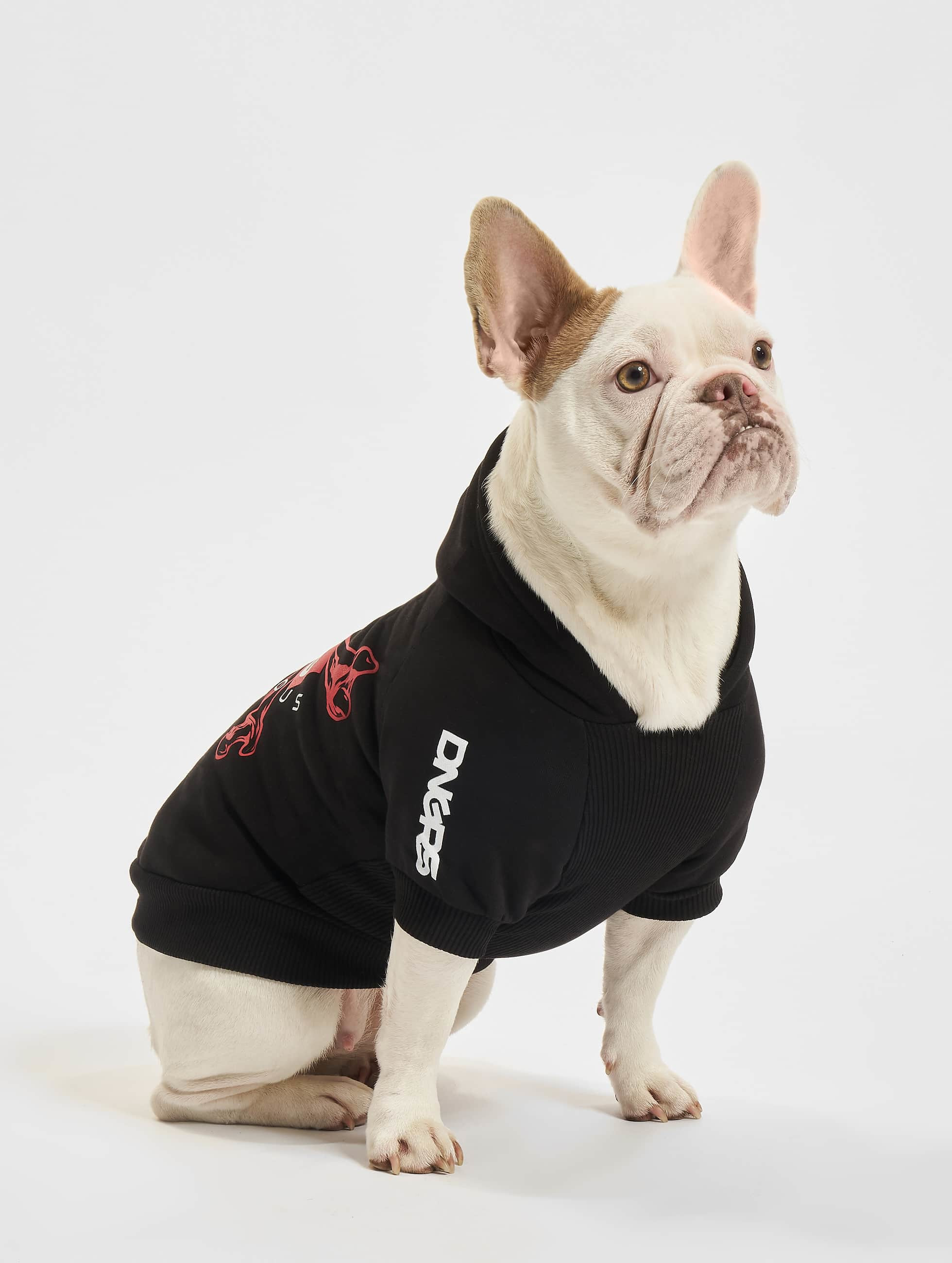 Women's short-sleeved sweatshirt Bones Dog Hoodie black