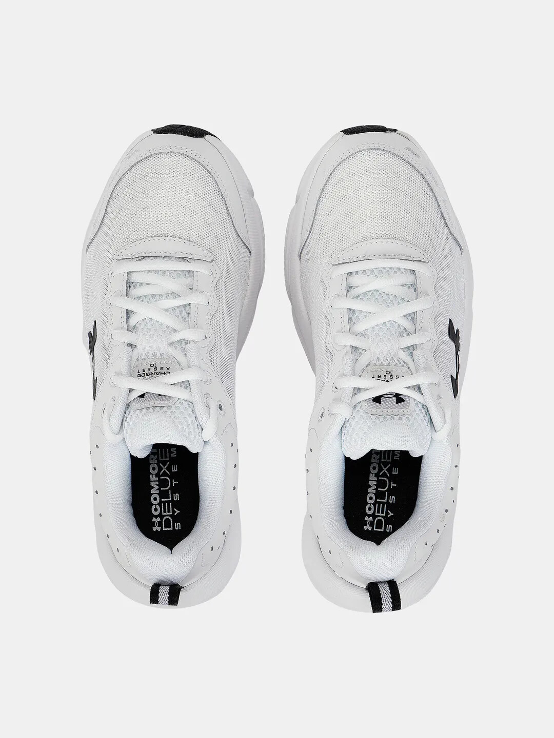 Men's shoes Under Armour Charged Assert 10