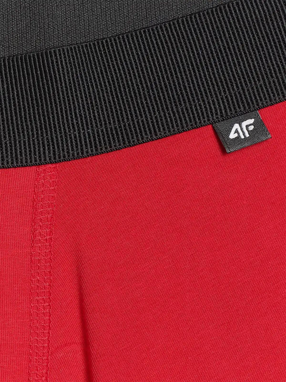Men's Boxer Shorts 4F (2pack)