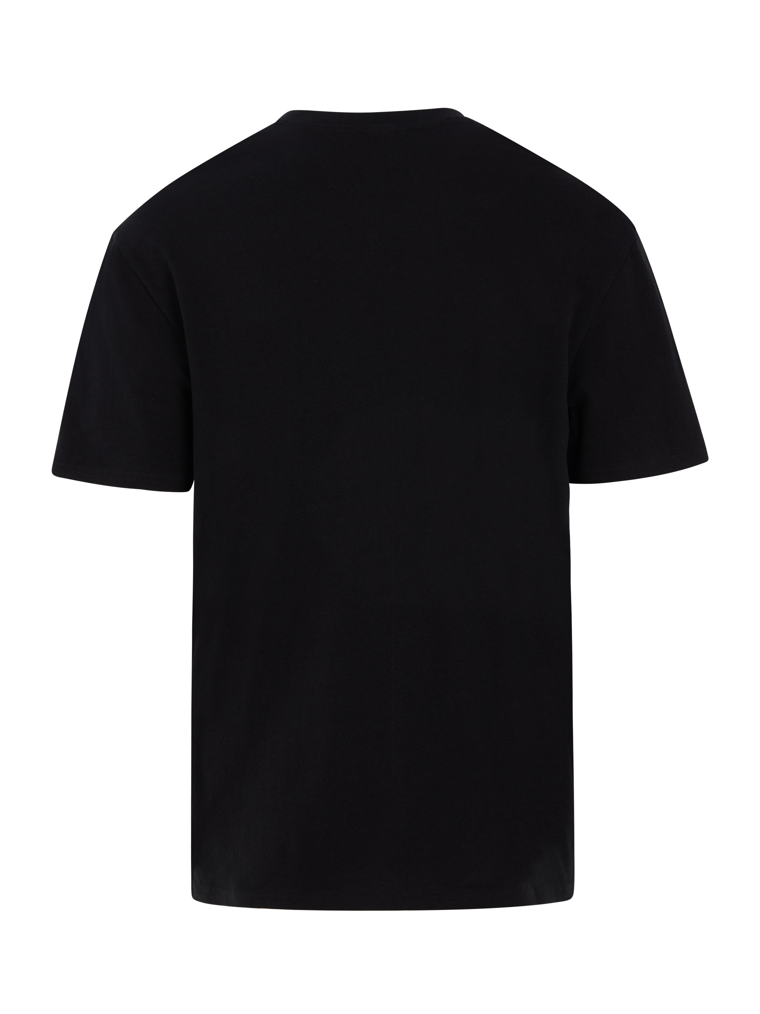 Men's T-shirt Protest PRTMYRON
