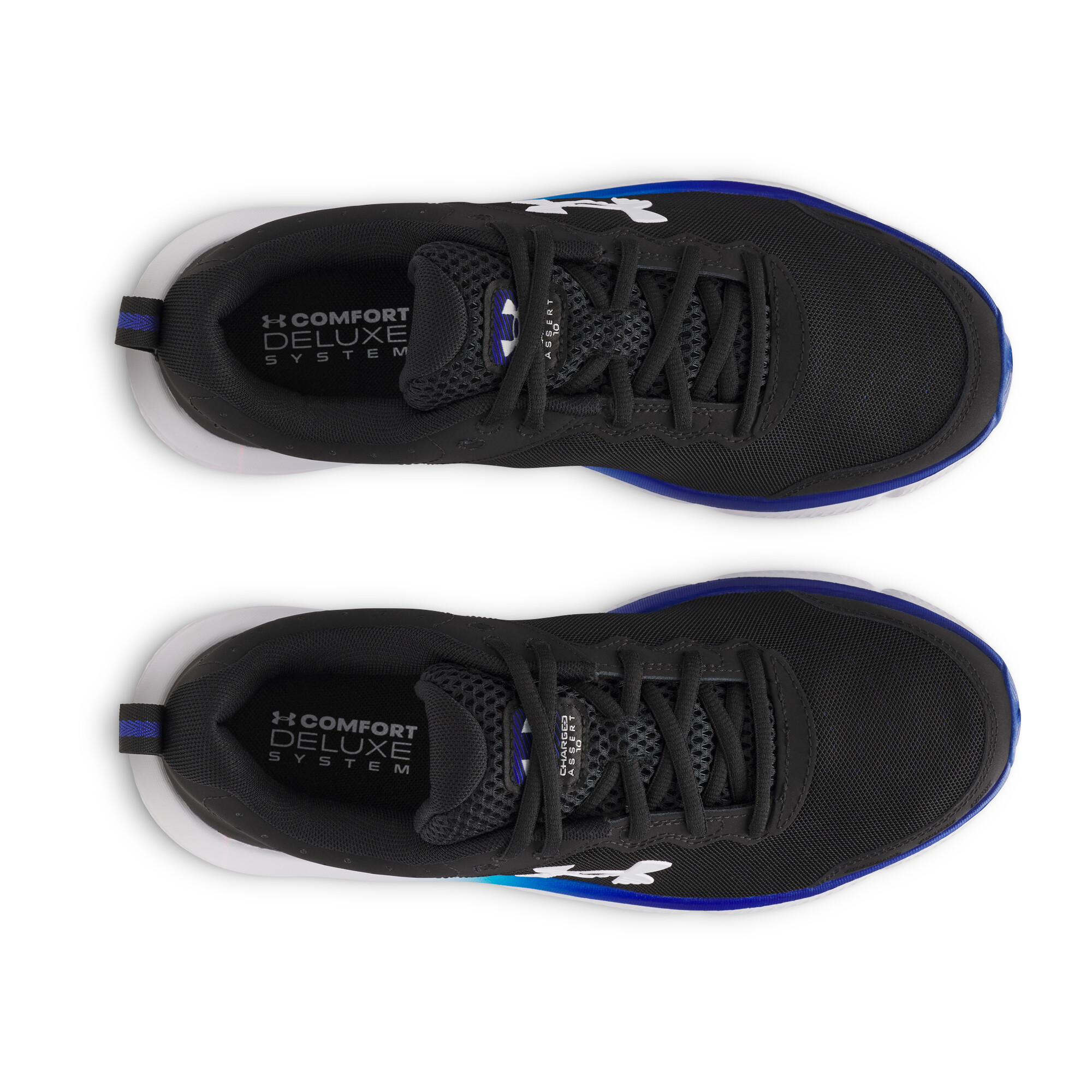 Men's shoes Under Armour Charged Assert 10