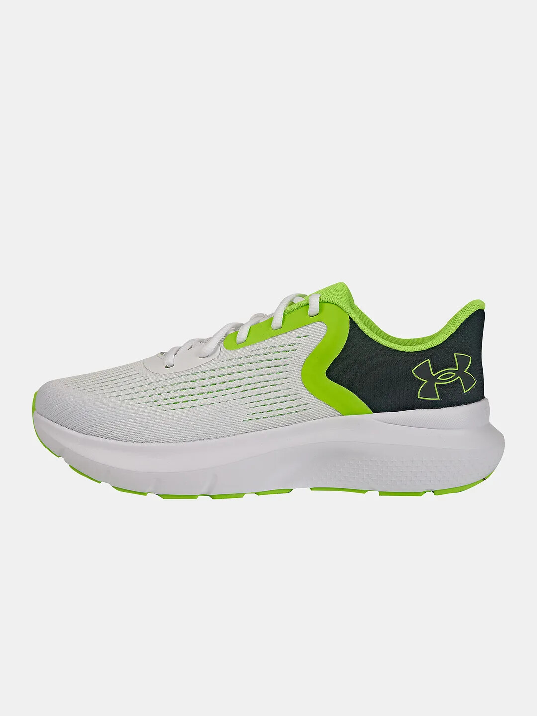 Men's shoes Under Armour Charged Rogue 5