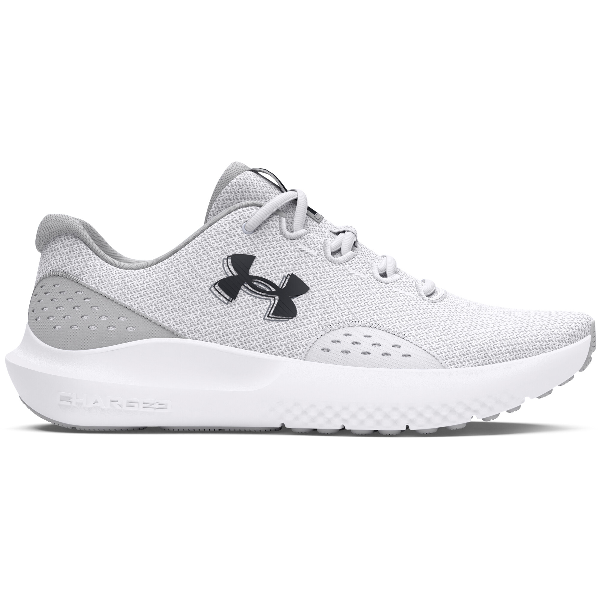 Mens shoes Under Armour Charged Surge 4