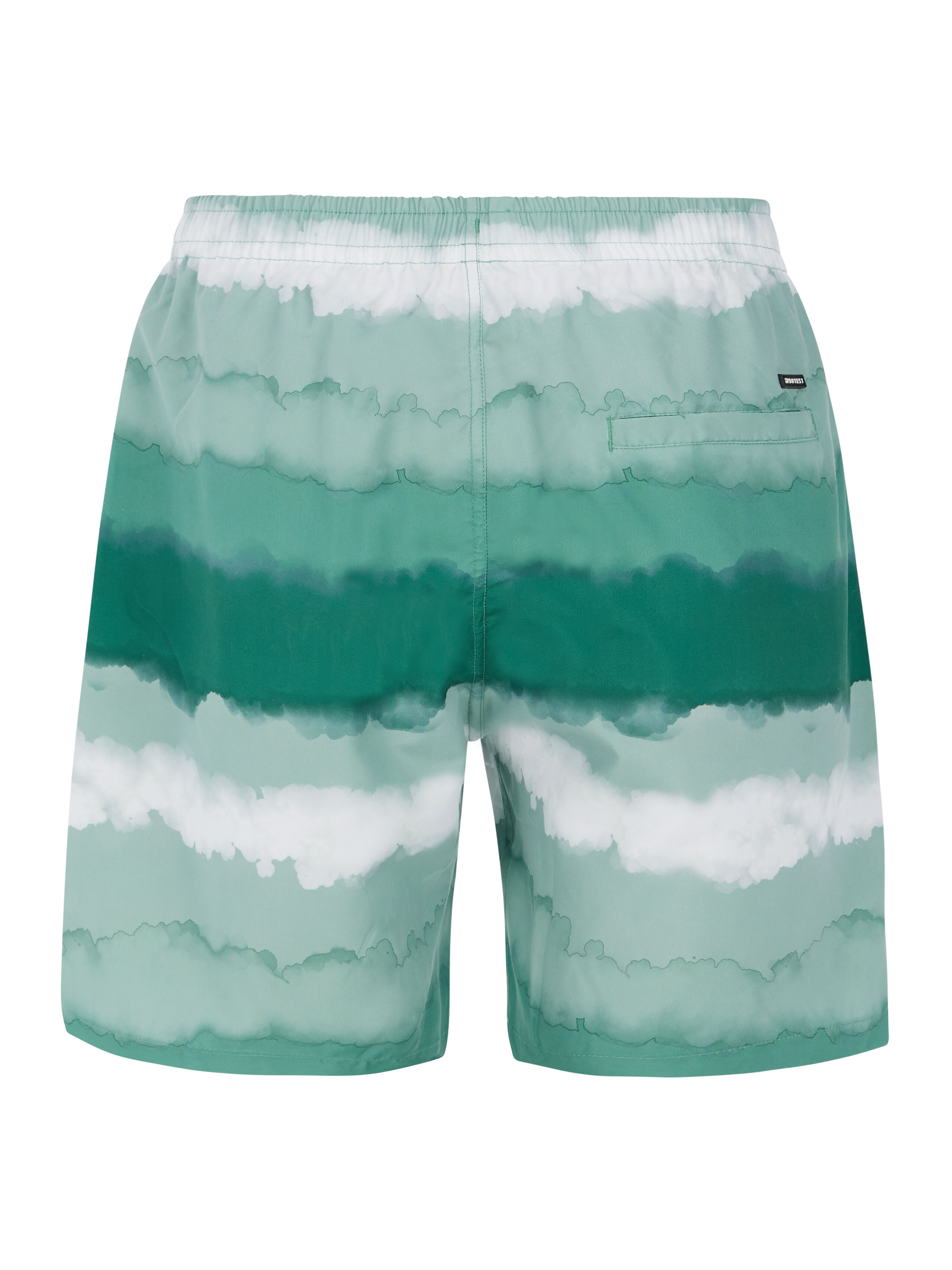 Men's beach shorts Protest PRTHAMSEY