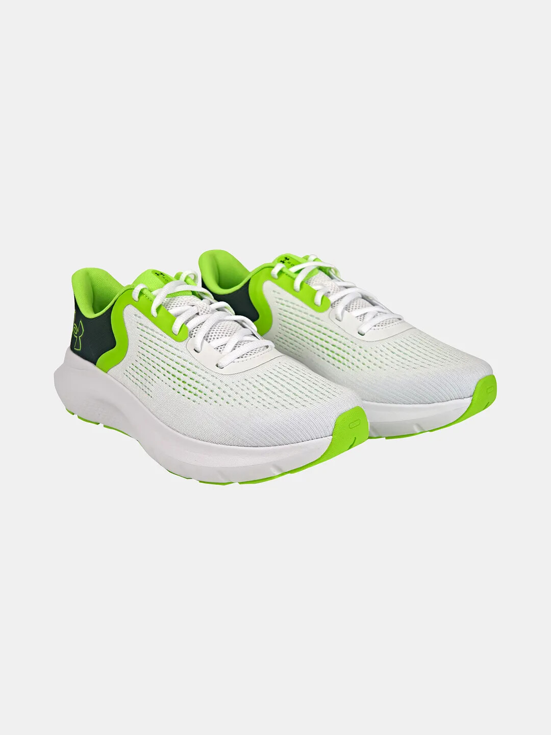 Men's shoes Under Armour Charged Rogue 5