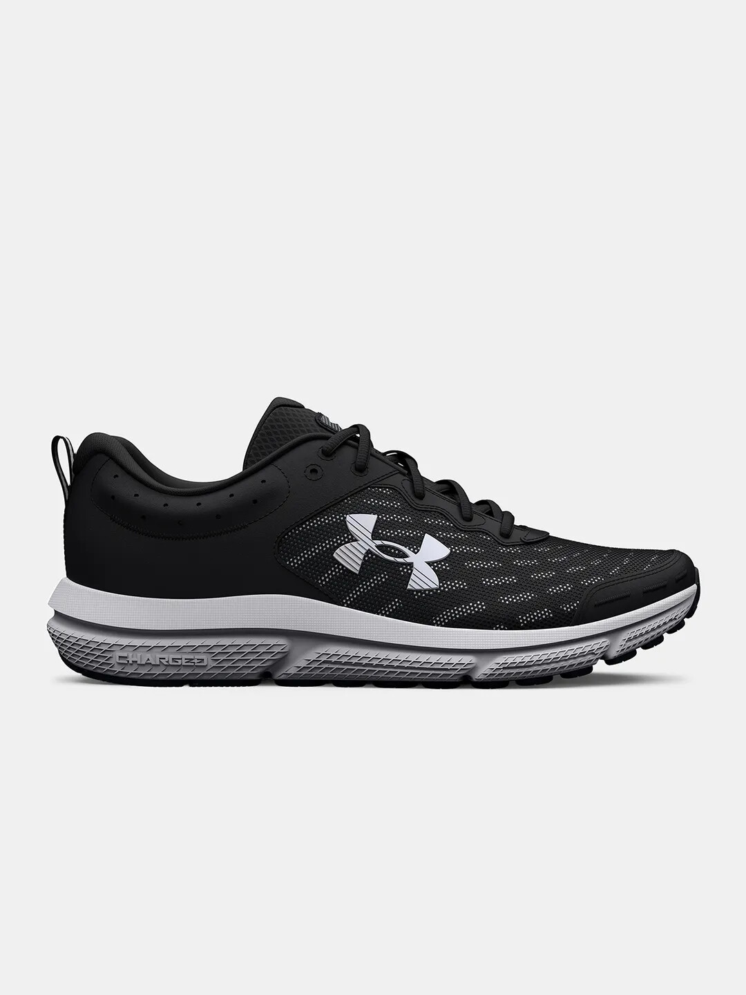 Men's shoes Under Armour Charged Assert 10