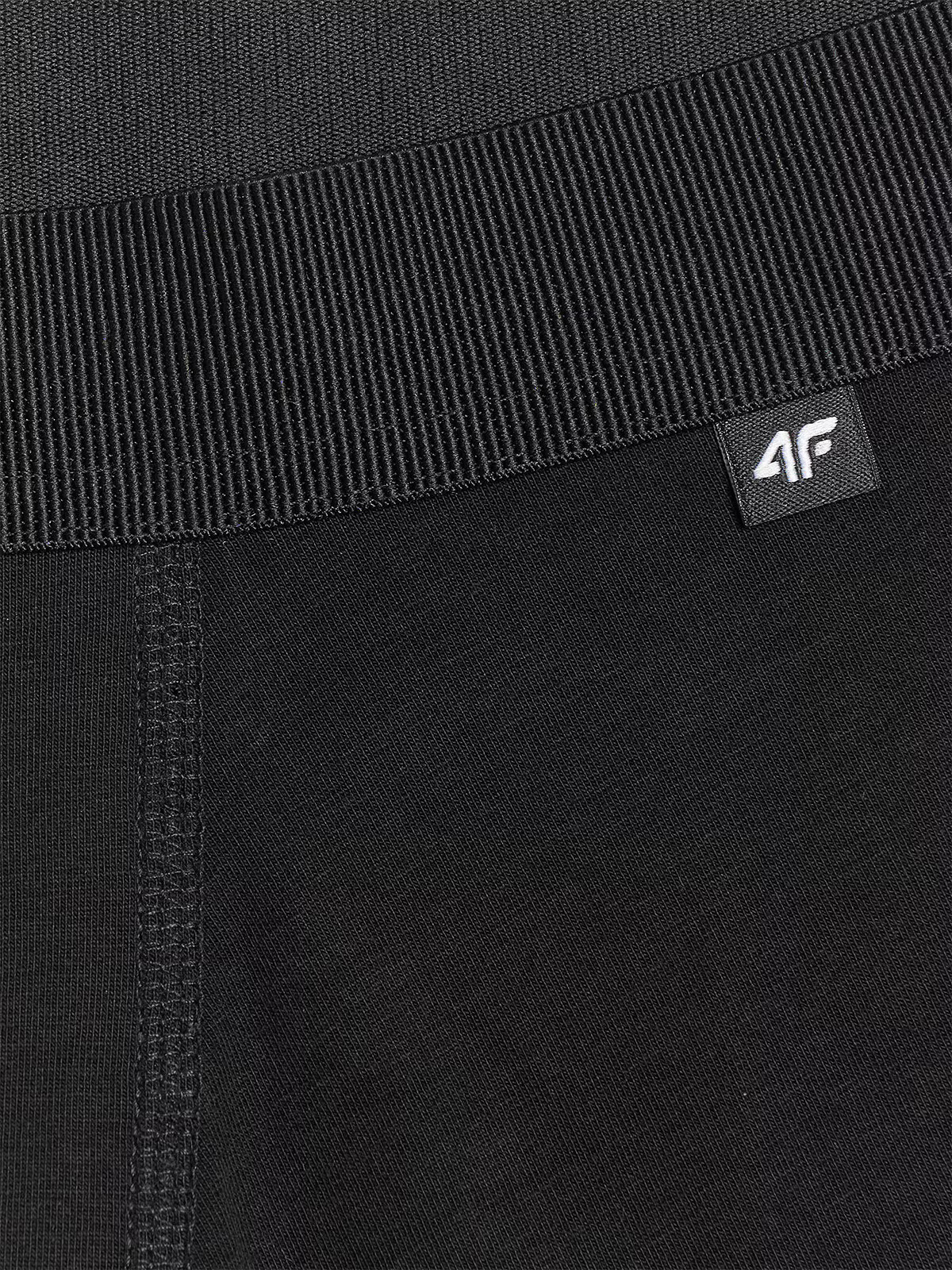 Men&#039;s Boxer Shorts 4F (2pack)