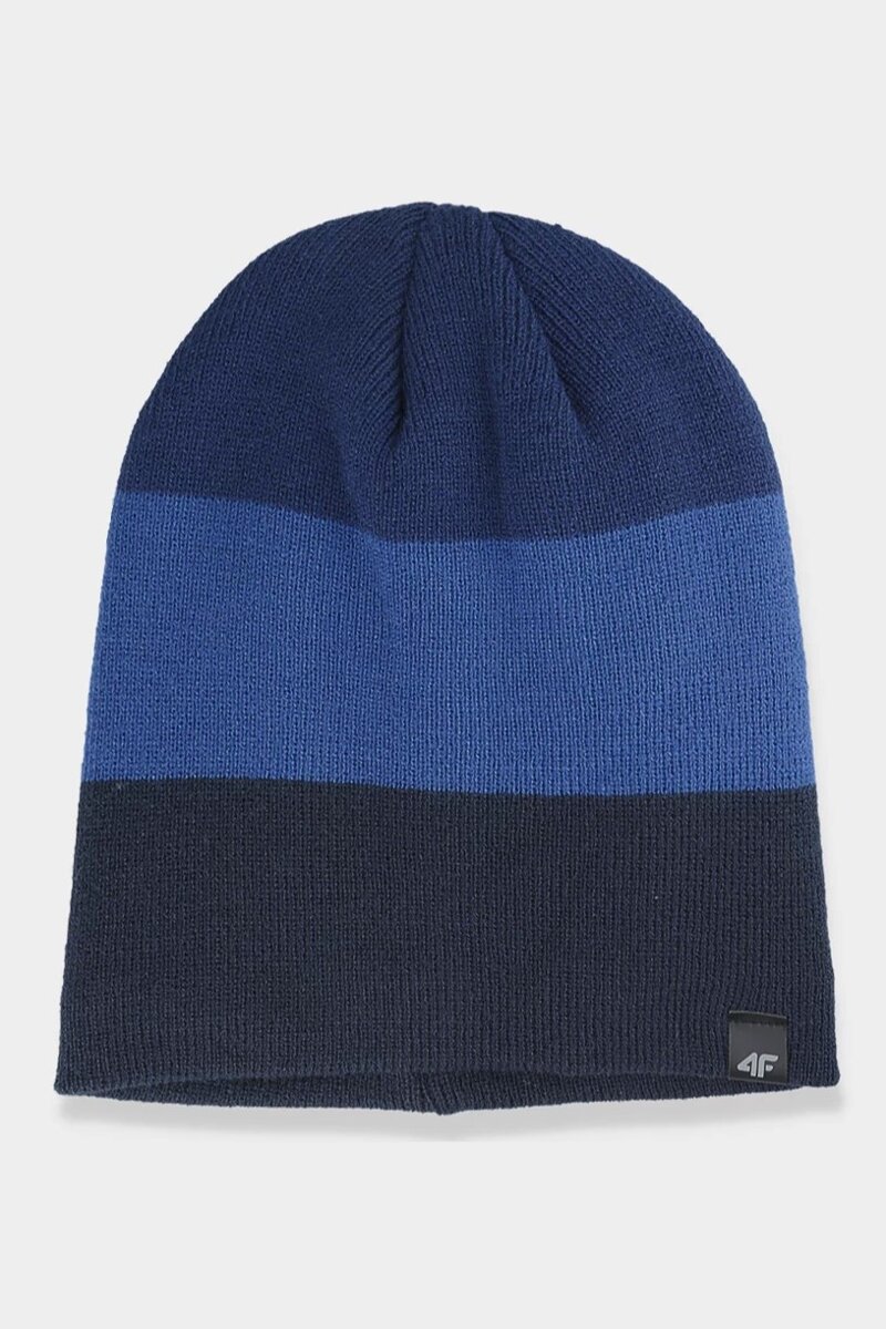 Men's Winter Hat 4F Dark Blue