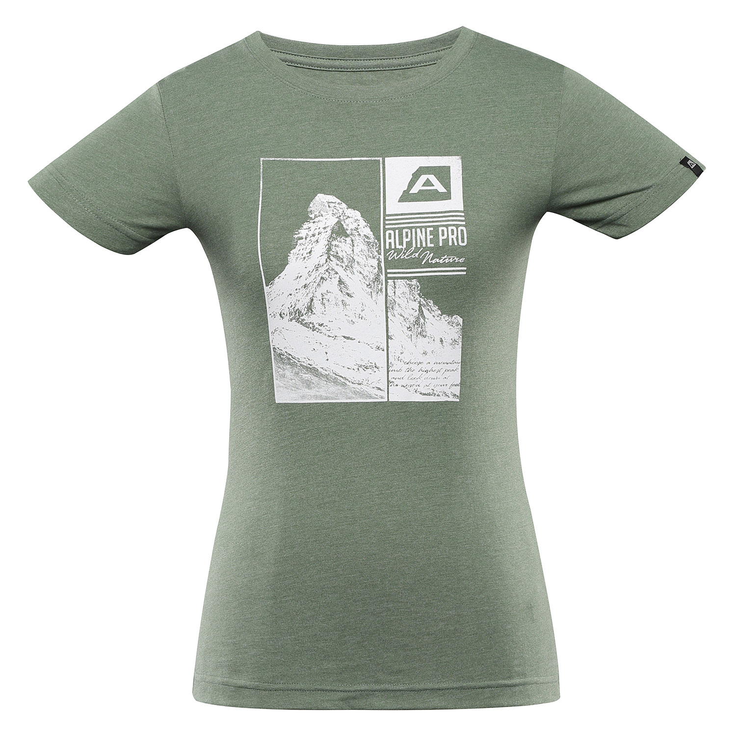 Women's quick-drying T-shirt ALPINE PRO MONENA loden frost variant pa