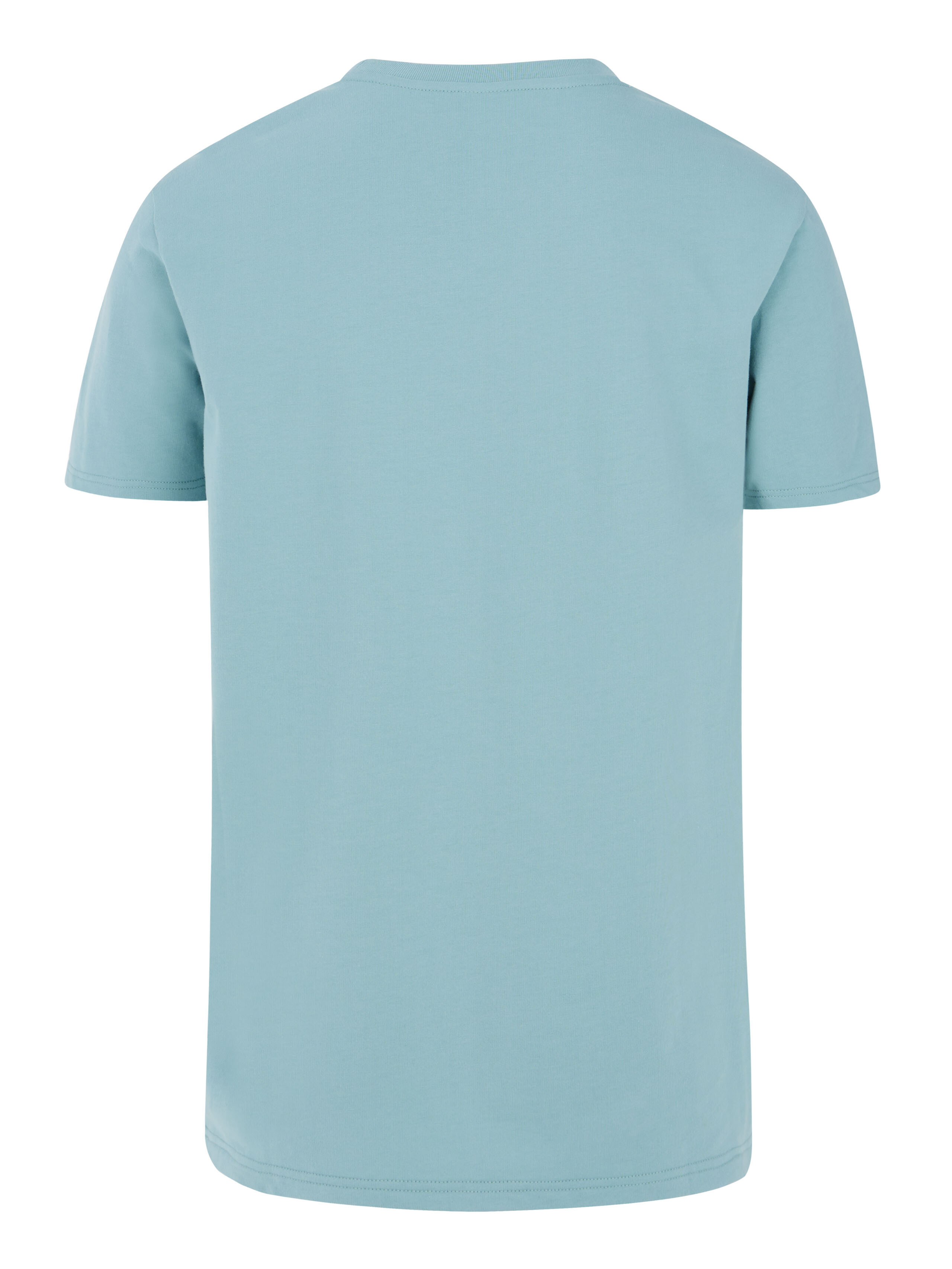 Men's T-shirt Protest PRTSCREM