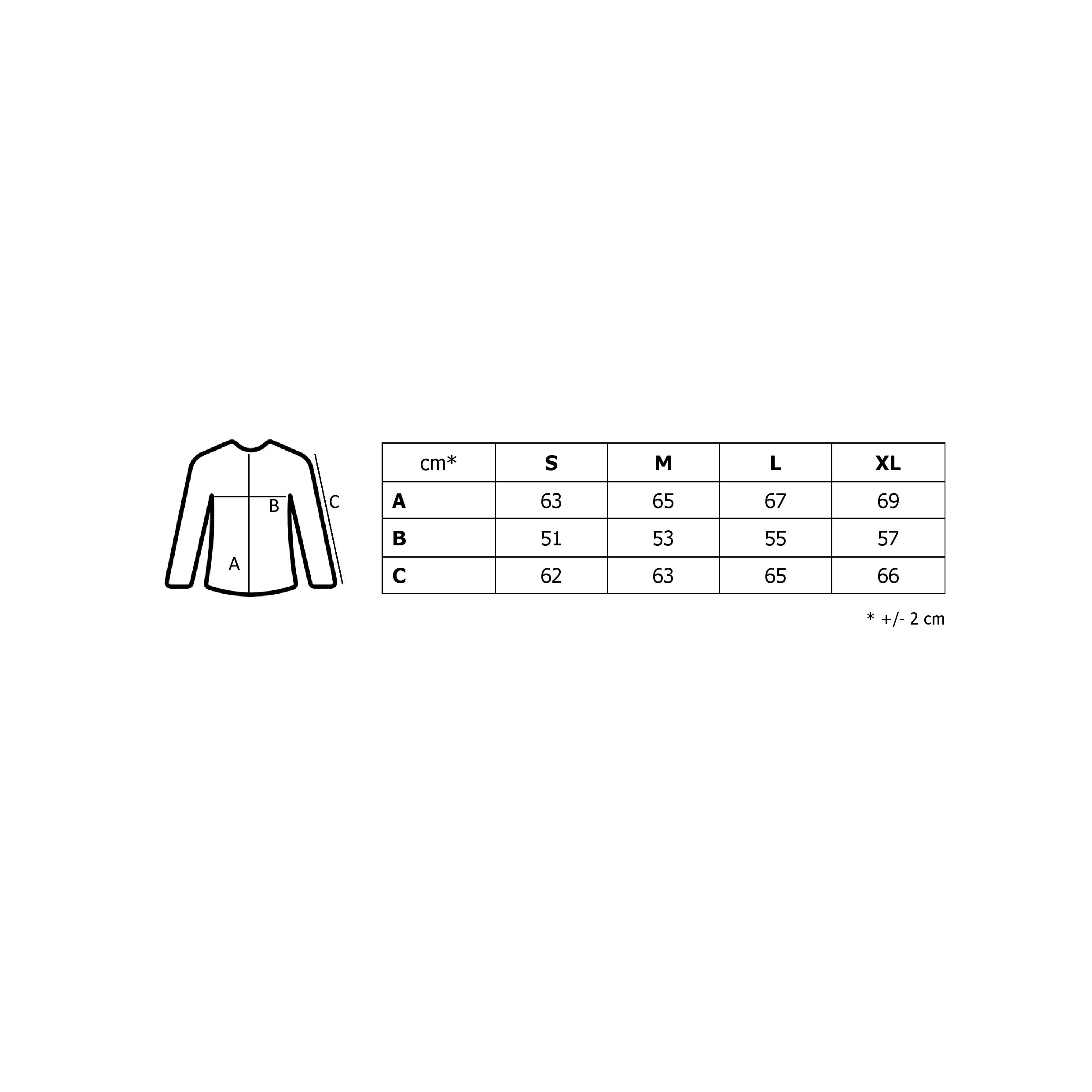 Women's sweatshirt GLANO - dark gray
