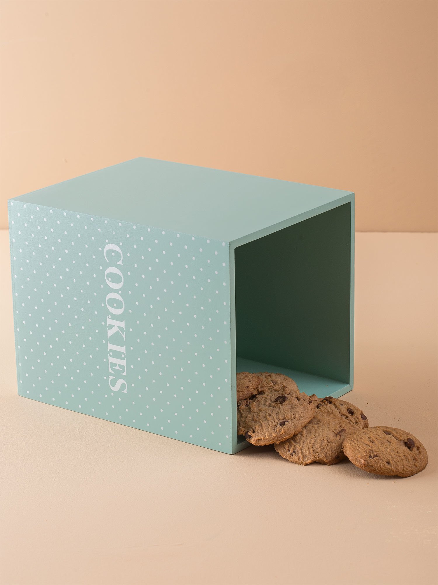 Mint Biscuit Container