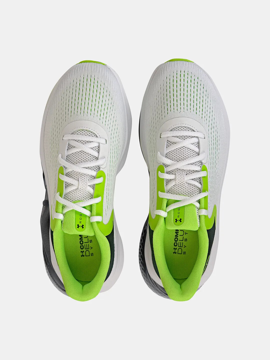 Men's shoes Under Armour Charged Rogue 5