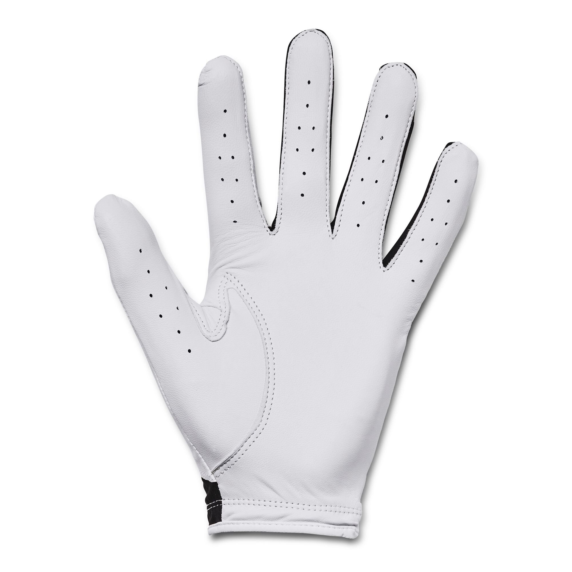 Men&#039;s Golf Glove Under Armour Iso-Chill Golf Glove