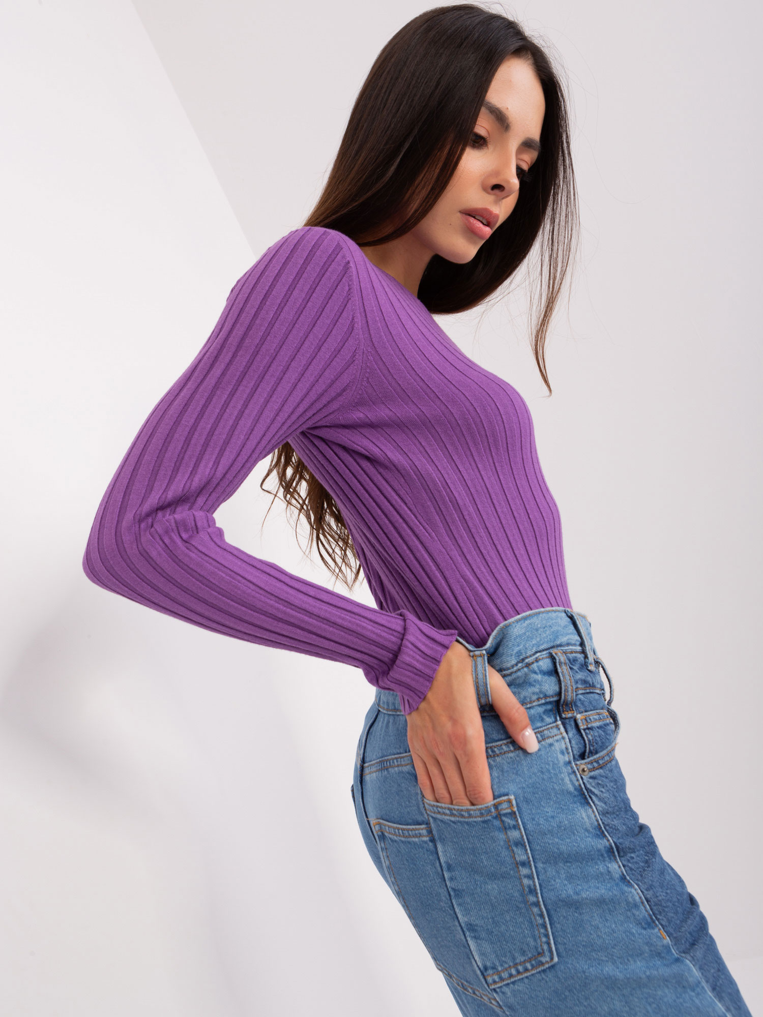 Purple Classic Sweater With A Round Neckline