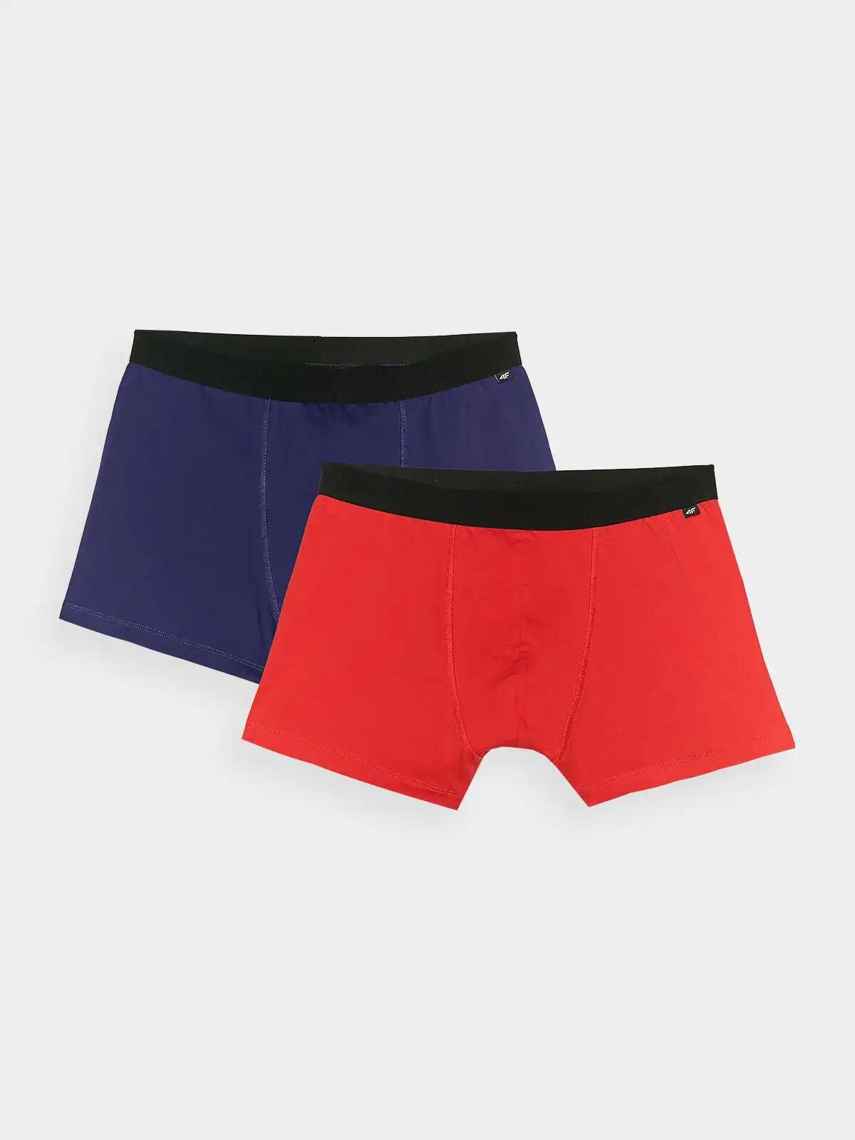 Men's Boxer Shorts 4F (2pack)