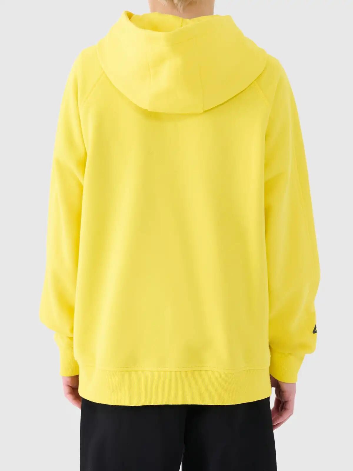 Boys&#039; sweatshirt 4F