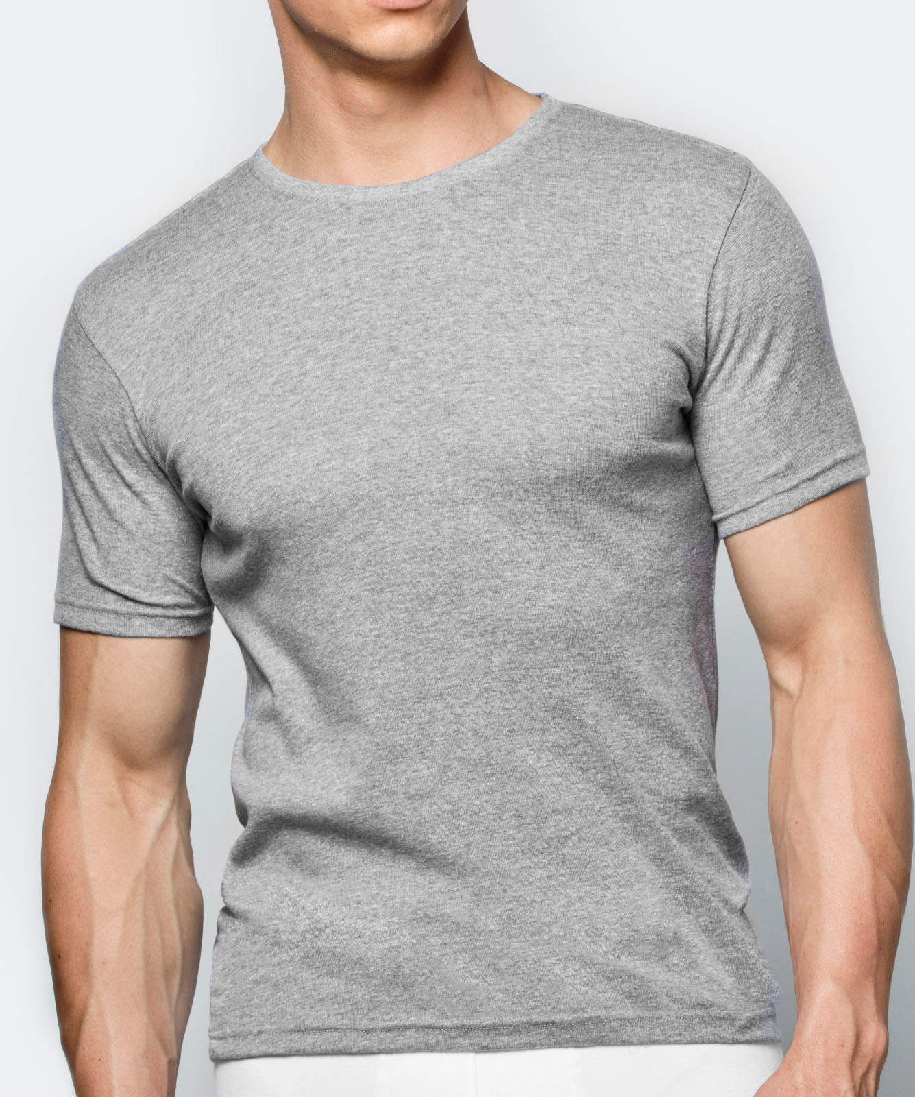 Men's short sleeve T-shirt ATLANTIC - gray