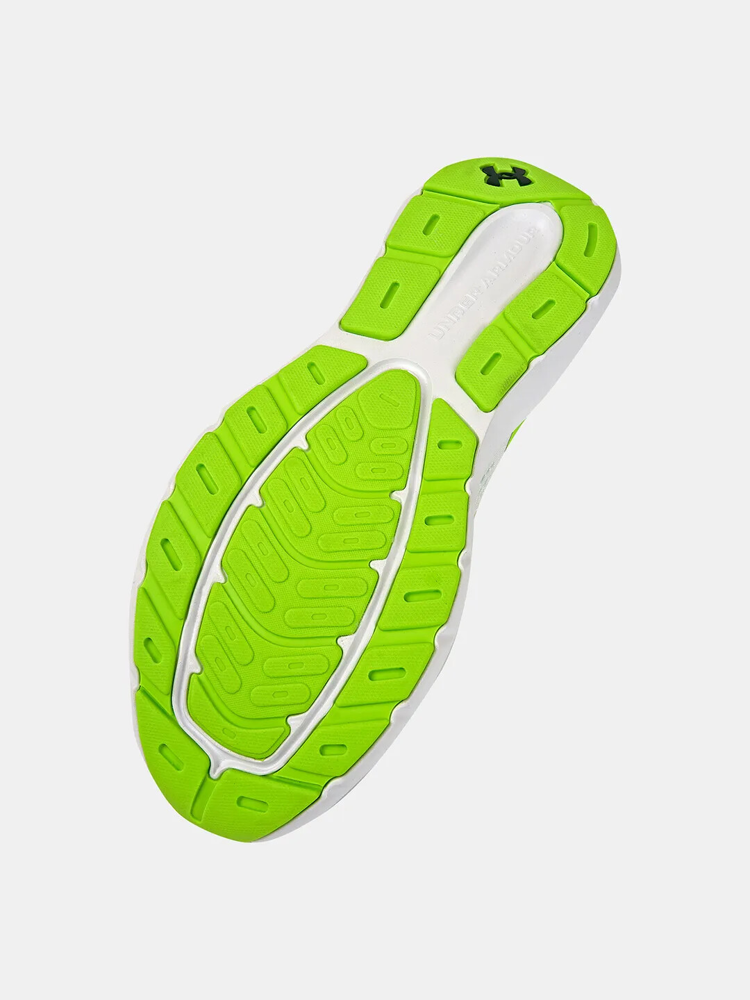 Men's shoes Under Armour Charged Rogue 5