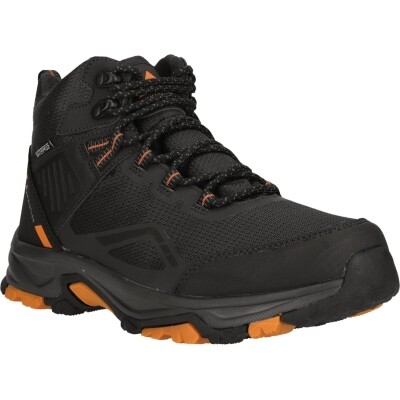 Men&#039;s trekking shoes Whistler FARBURNT