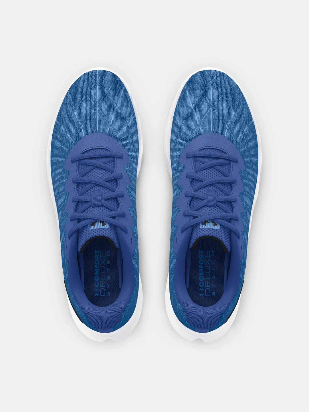Men's shoes Under Armour Charged Breeze 2