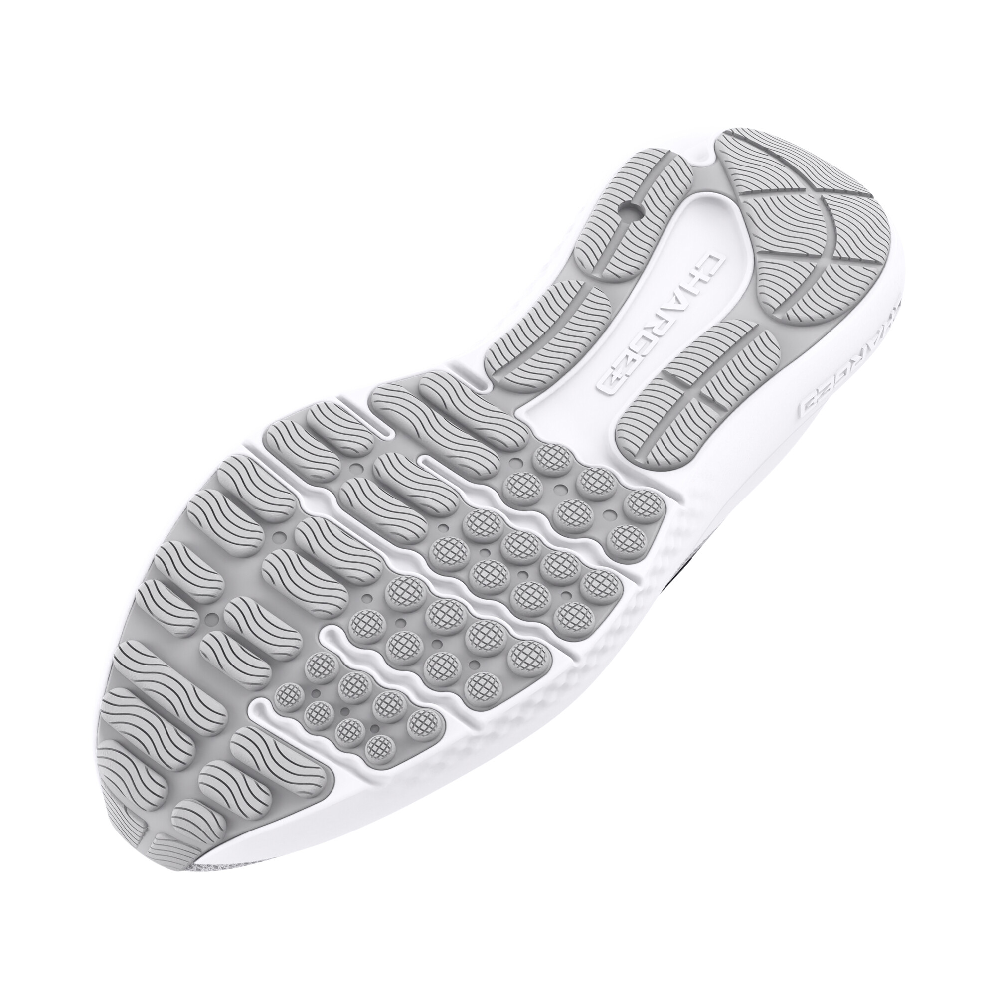 Men's shoes Under Armour Charged Surge 4