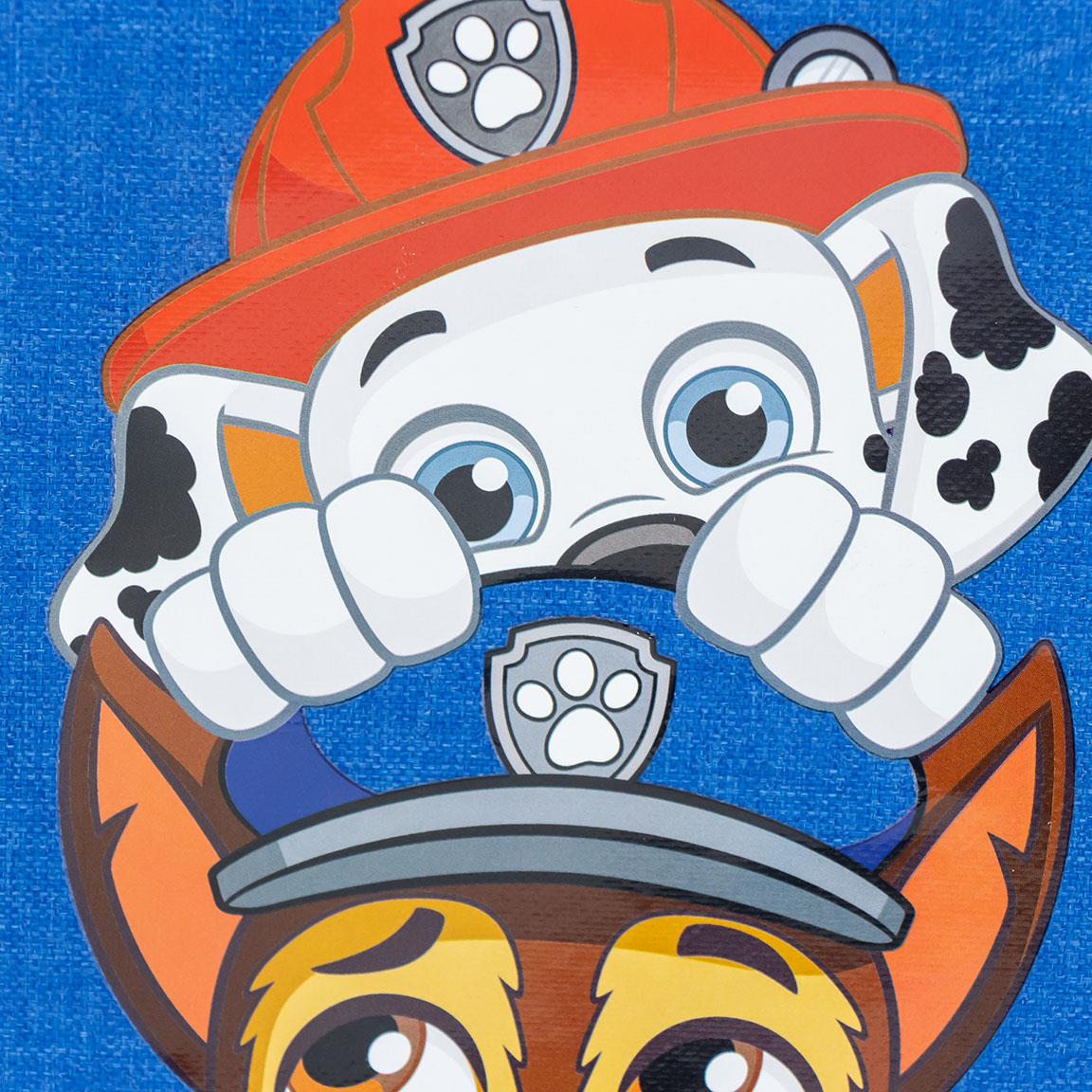 LUNCH BAG THERMAL PAW PATROL