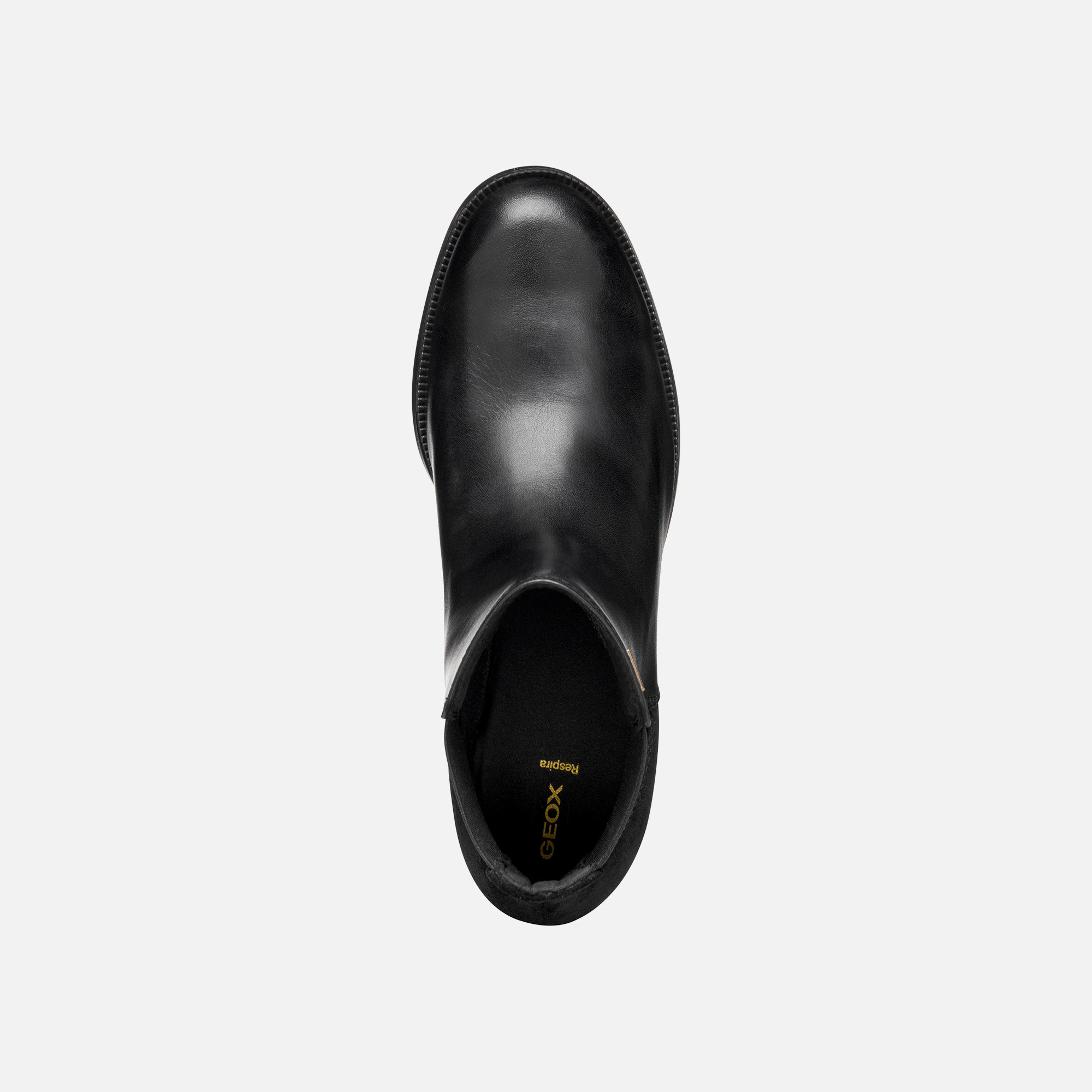 Black Women's Ankle Boots Geox Camexia NP ABX - Ladies