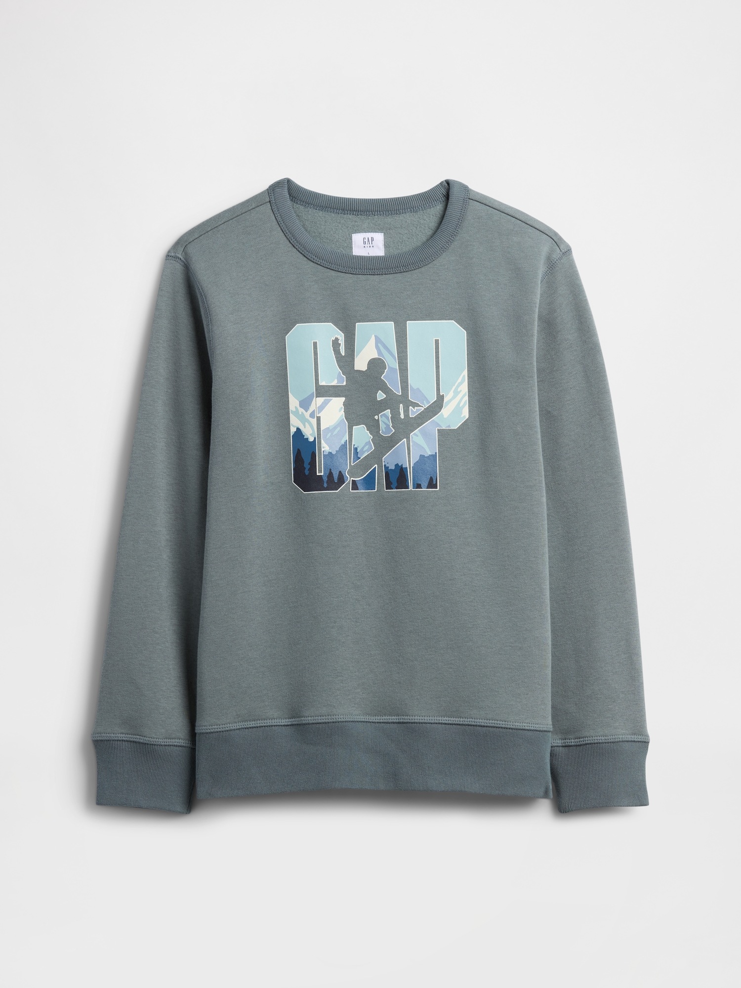 GAP Children's Sweatshirt with Logo - Boys