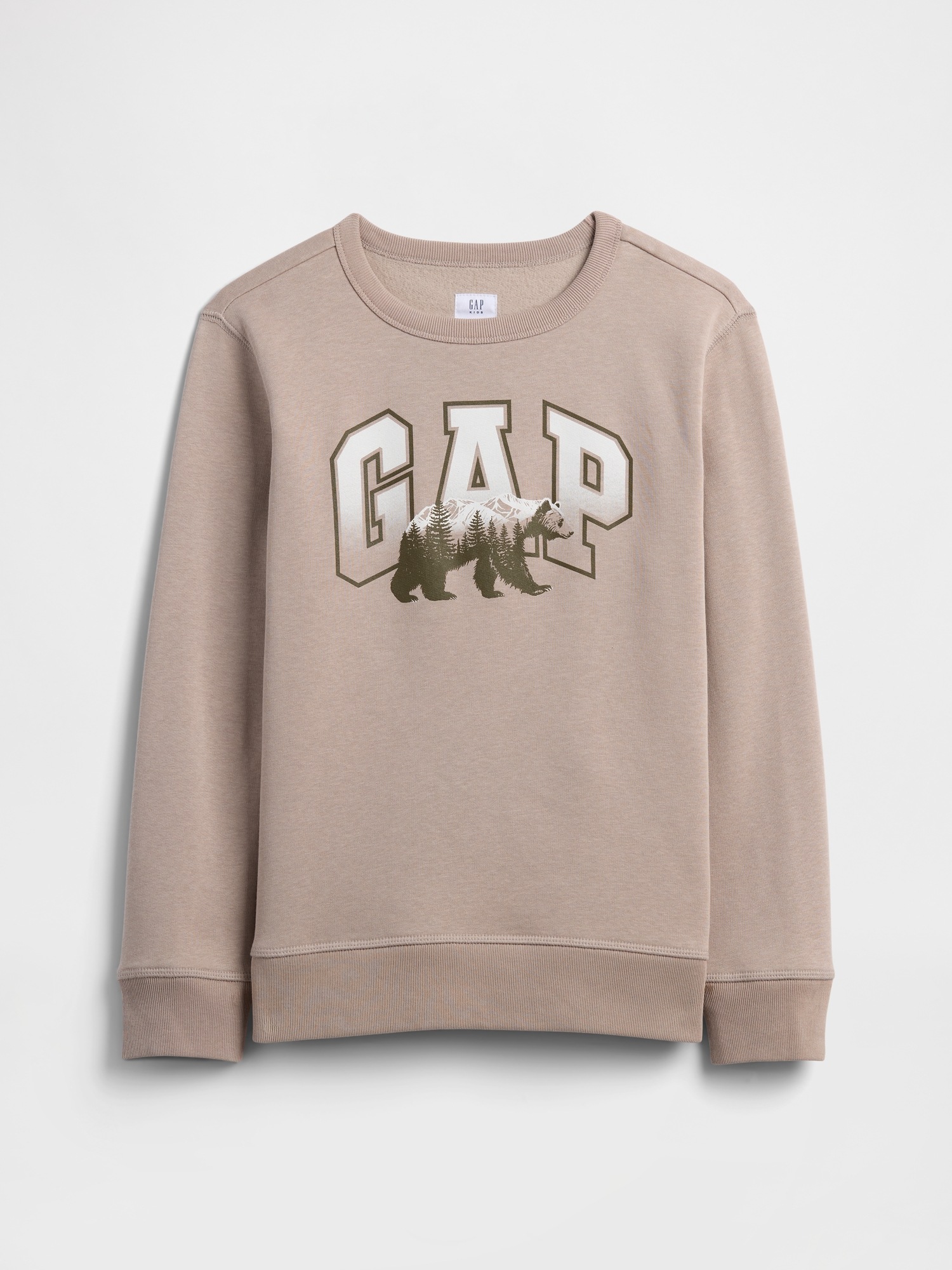 GAP Children&#039;s Sweatshirt with Logo - Boys